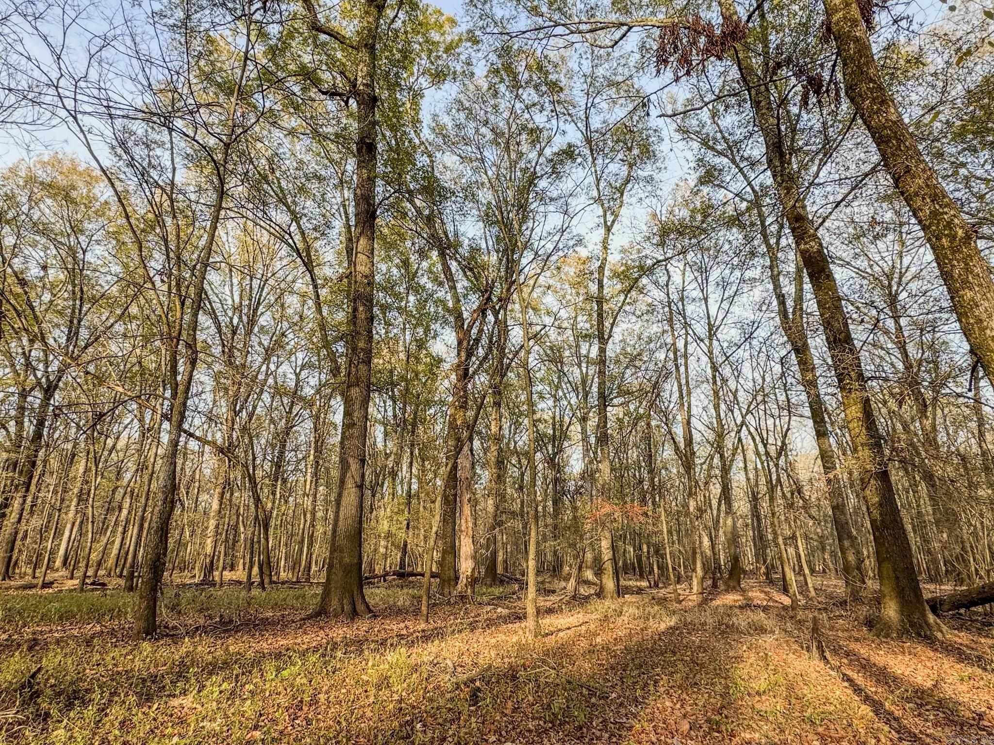 Metes & Bounds - Farm