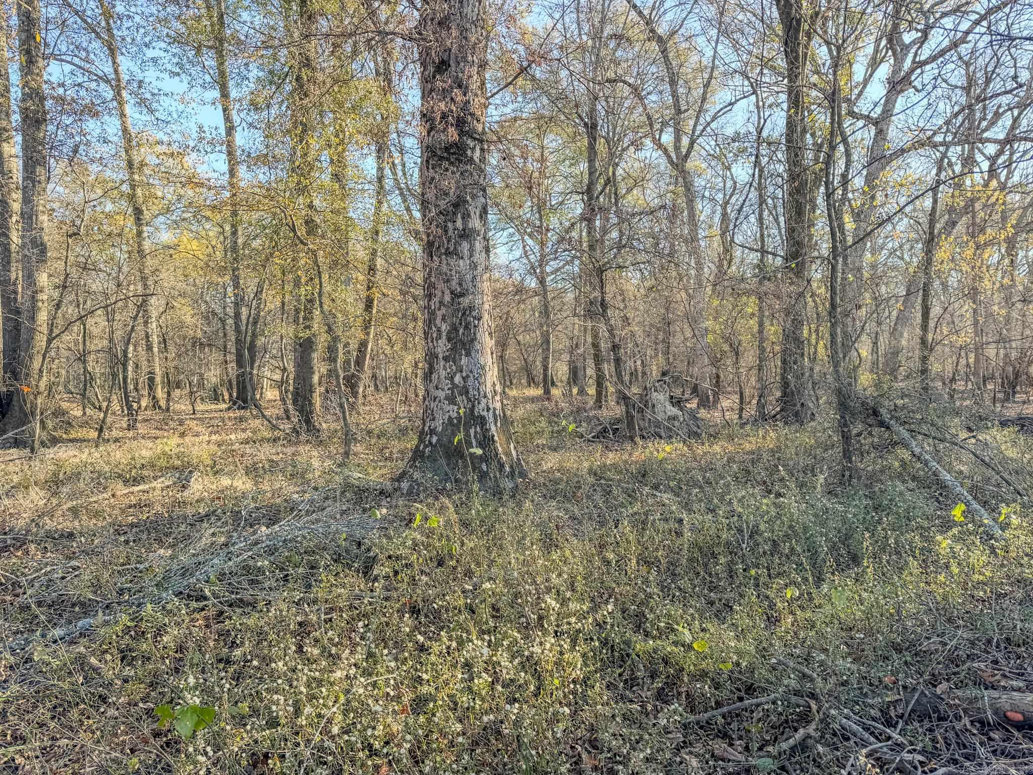 Metes & Bounds - Farm