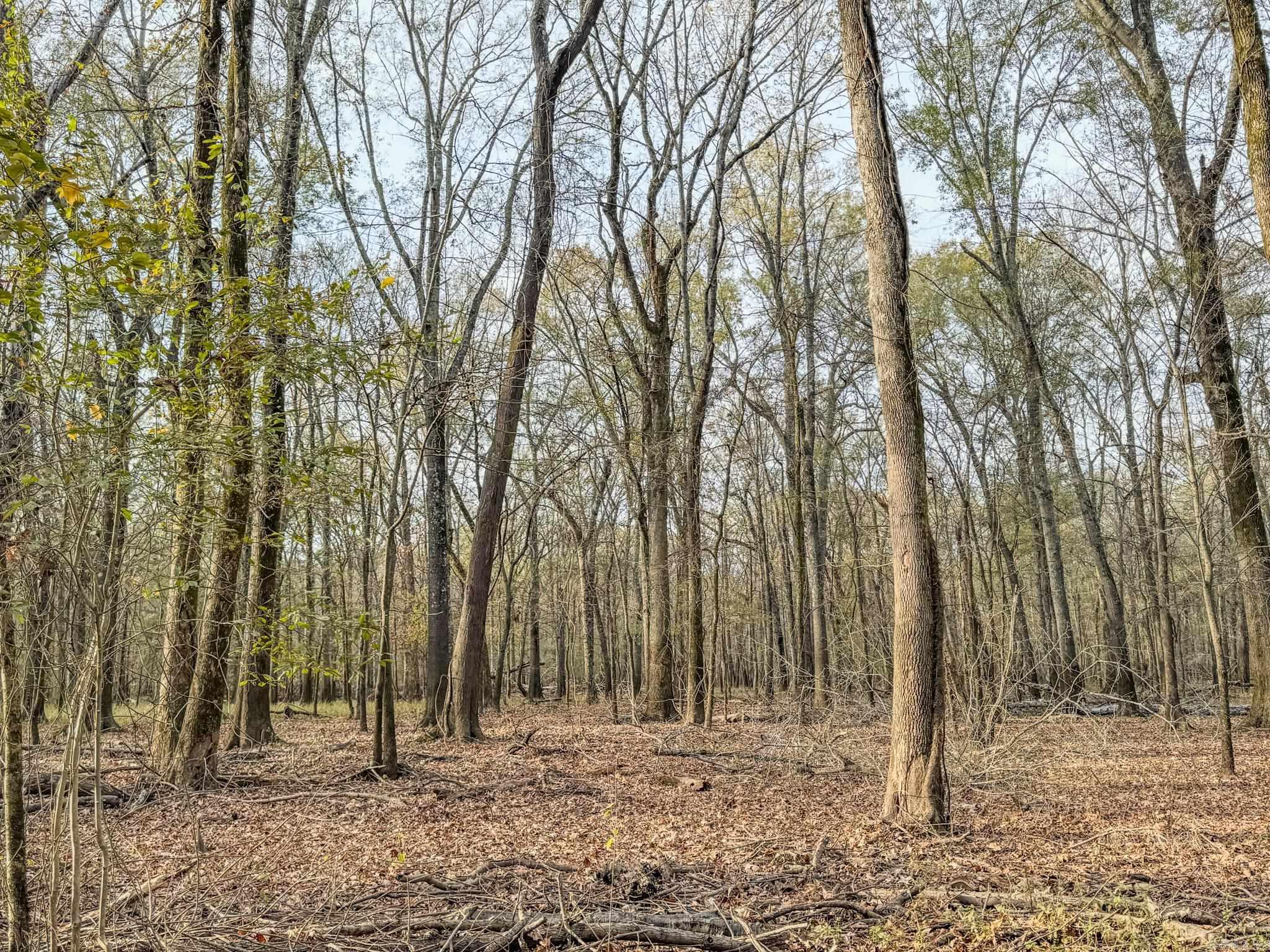 Metes & Bounds - Farm