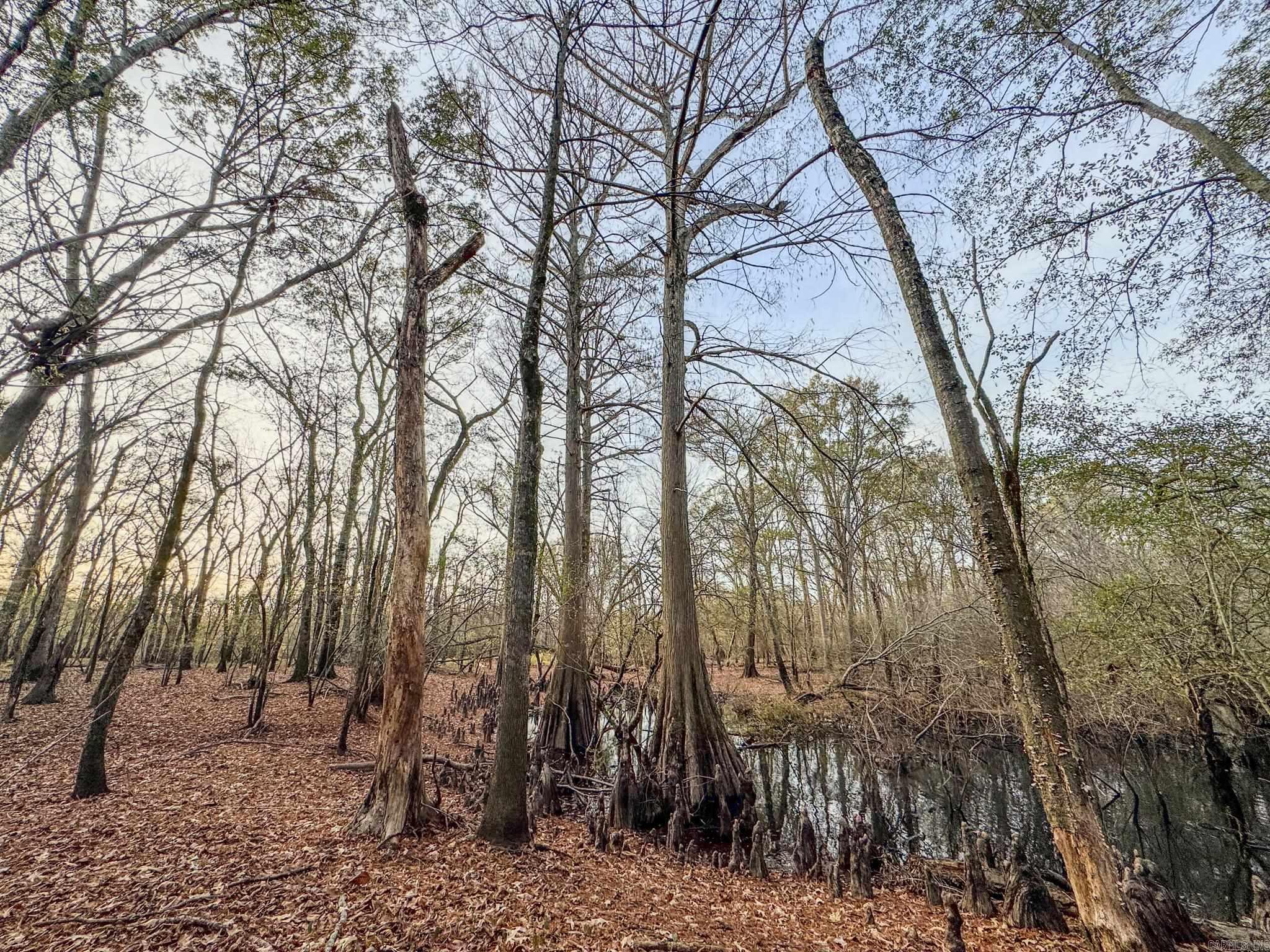 Metes & Bounds - Farm