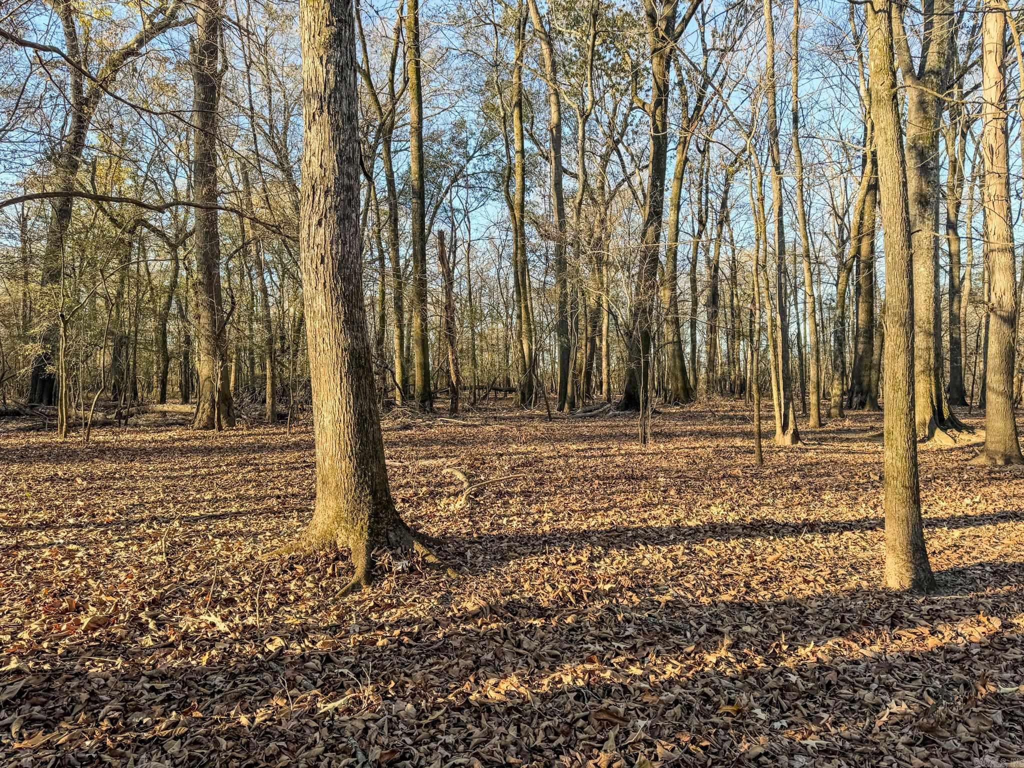 Metes & Bounds - Farm