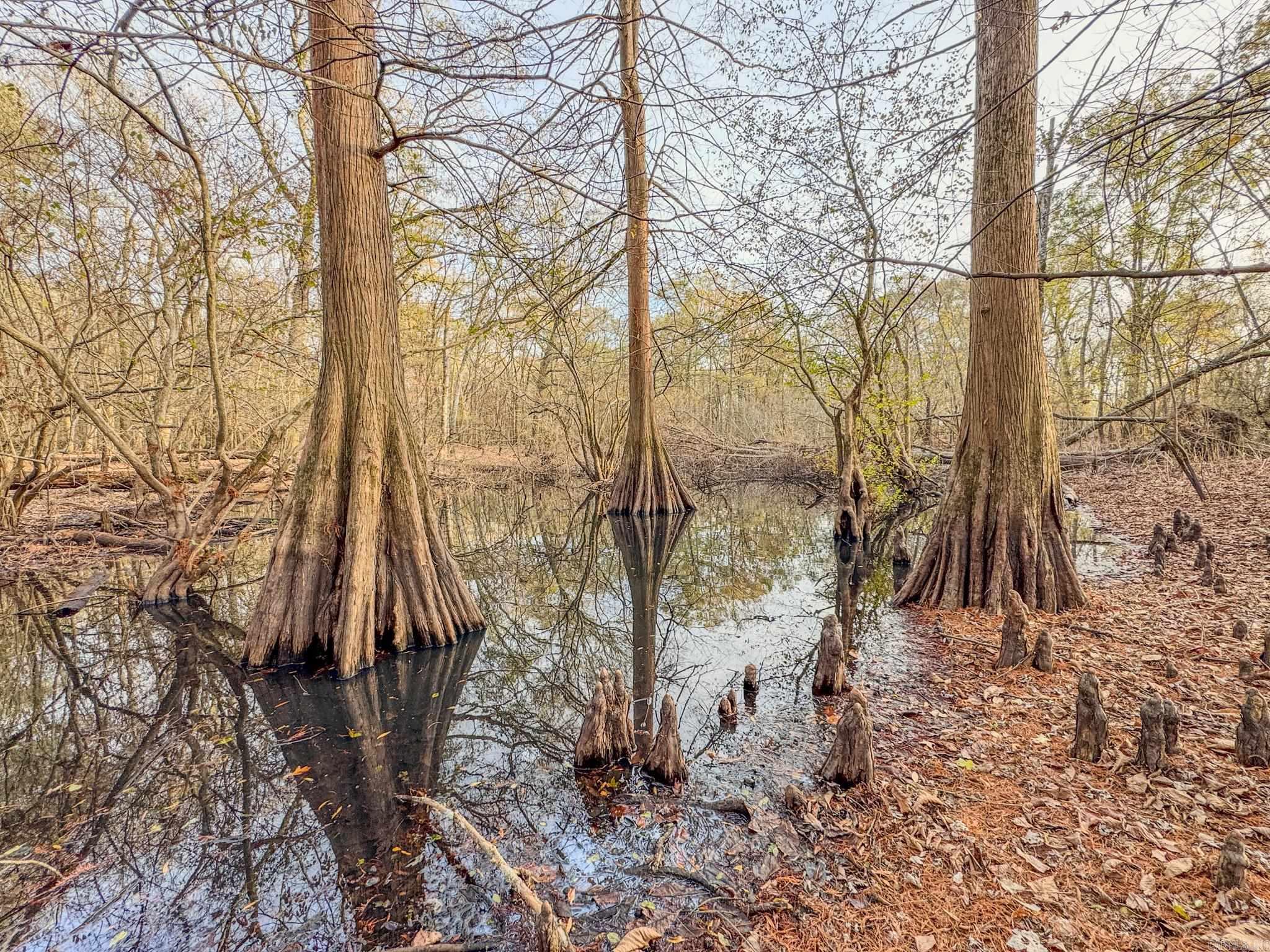 Metes & Bounds - Farm