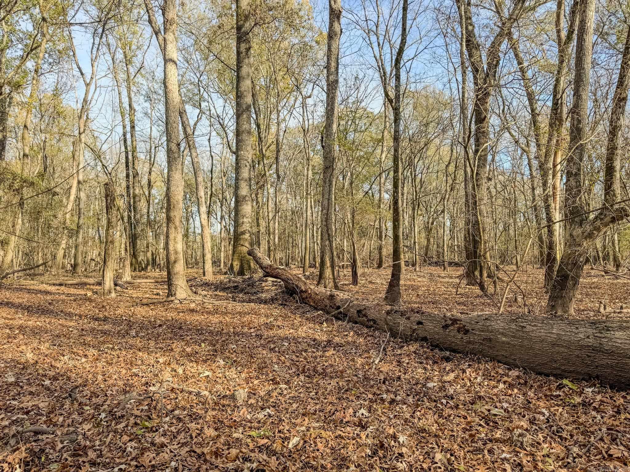 Metes & Bounds - Farm