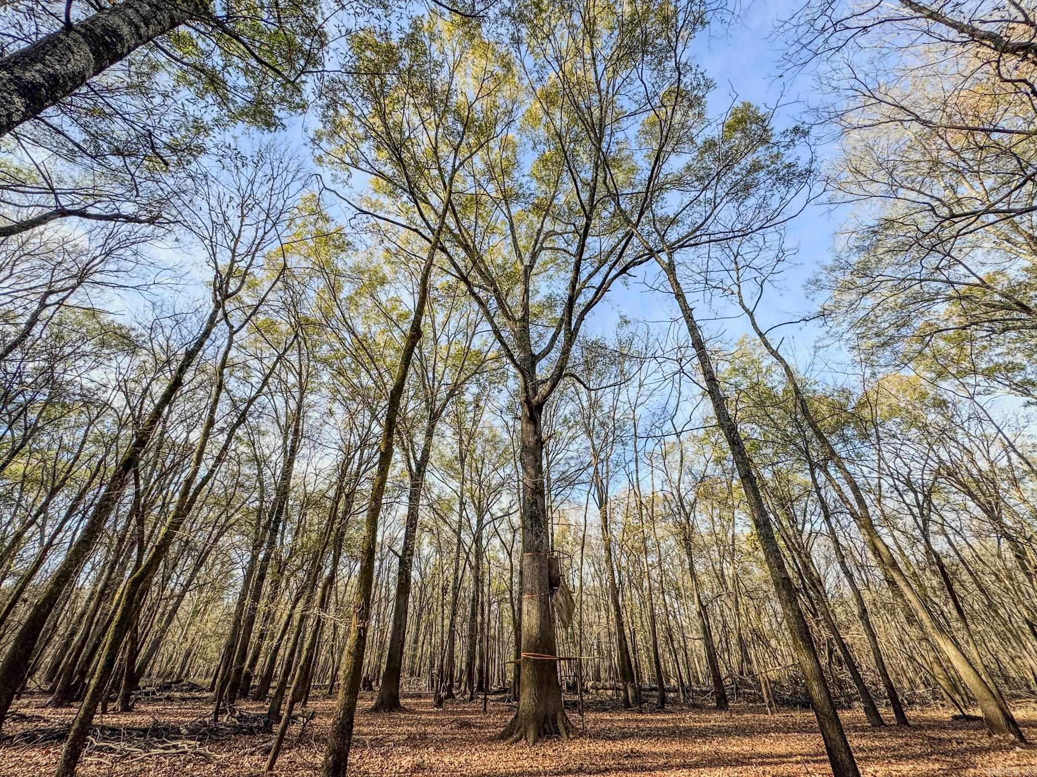 Metes & Bounds - Farm