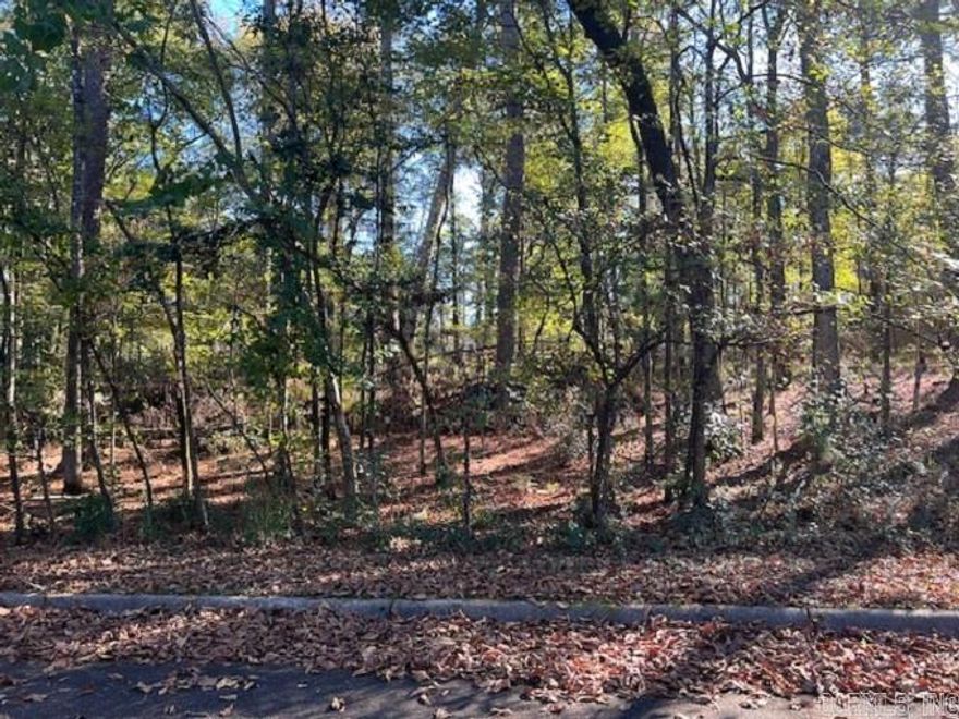 Looking to build, take a look at these lovely lots located on Mockingbird Lane.  Buy one or multiple with 4 in a row to choose from. They are priced to sale and Perfect for individuals wanting to build their dream home or investors ready to build a spec home.  Call today for more information.