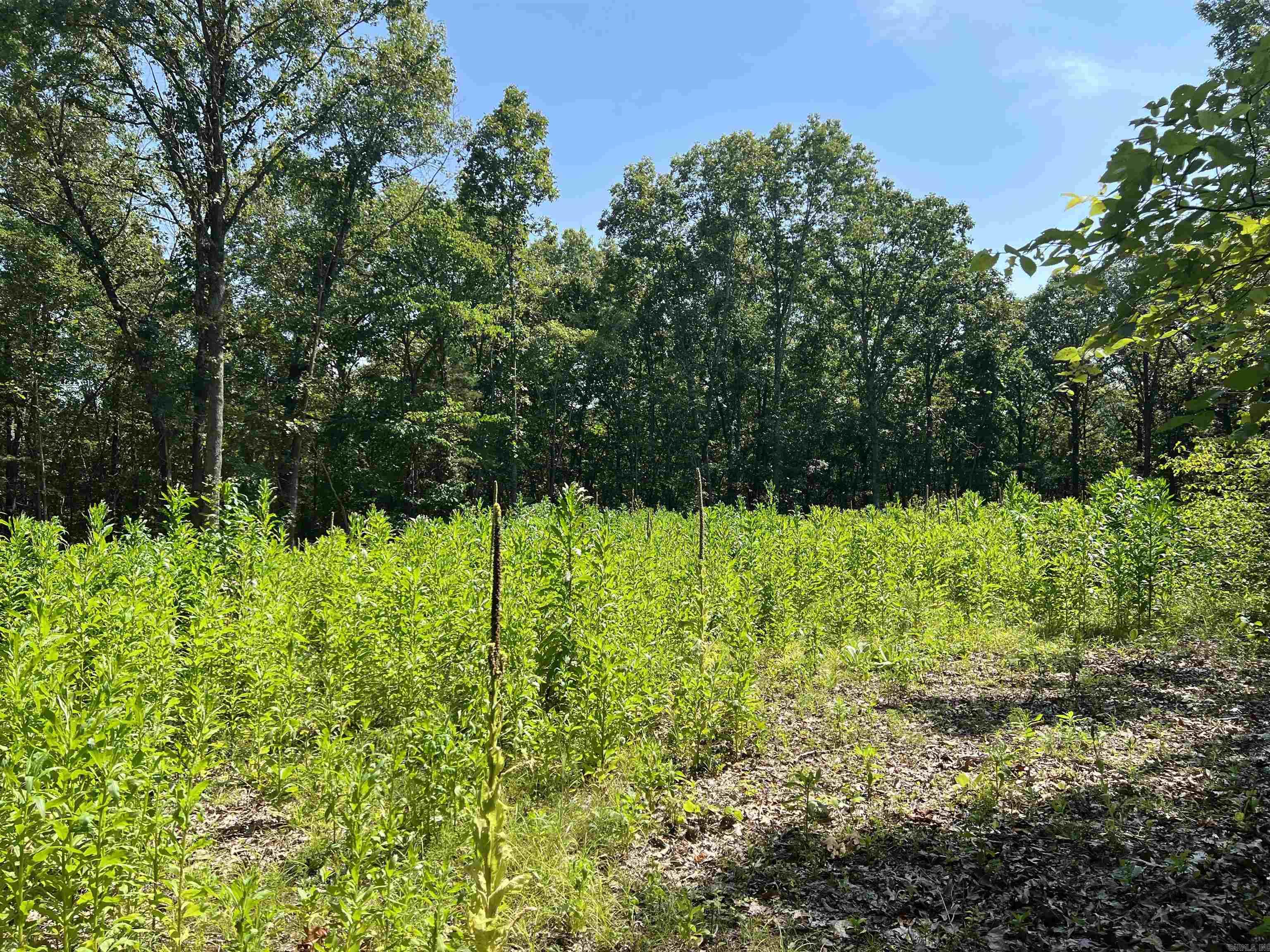 Possible Owner Financing!! 4.71 Acres with large trees and nice cleared building sight and NO Restrictions. This is a must see for a private home place.