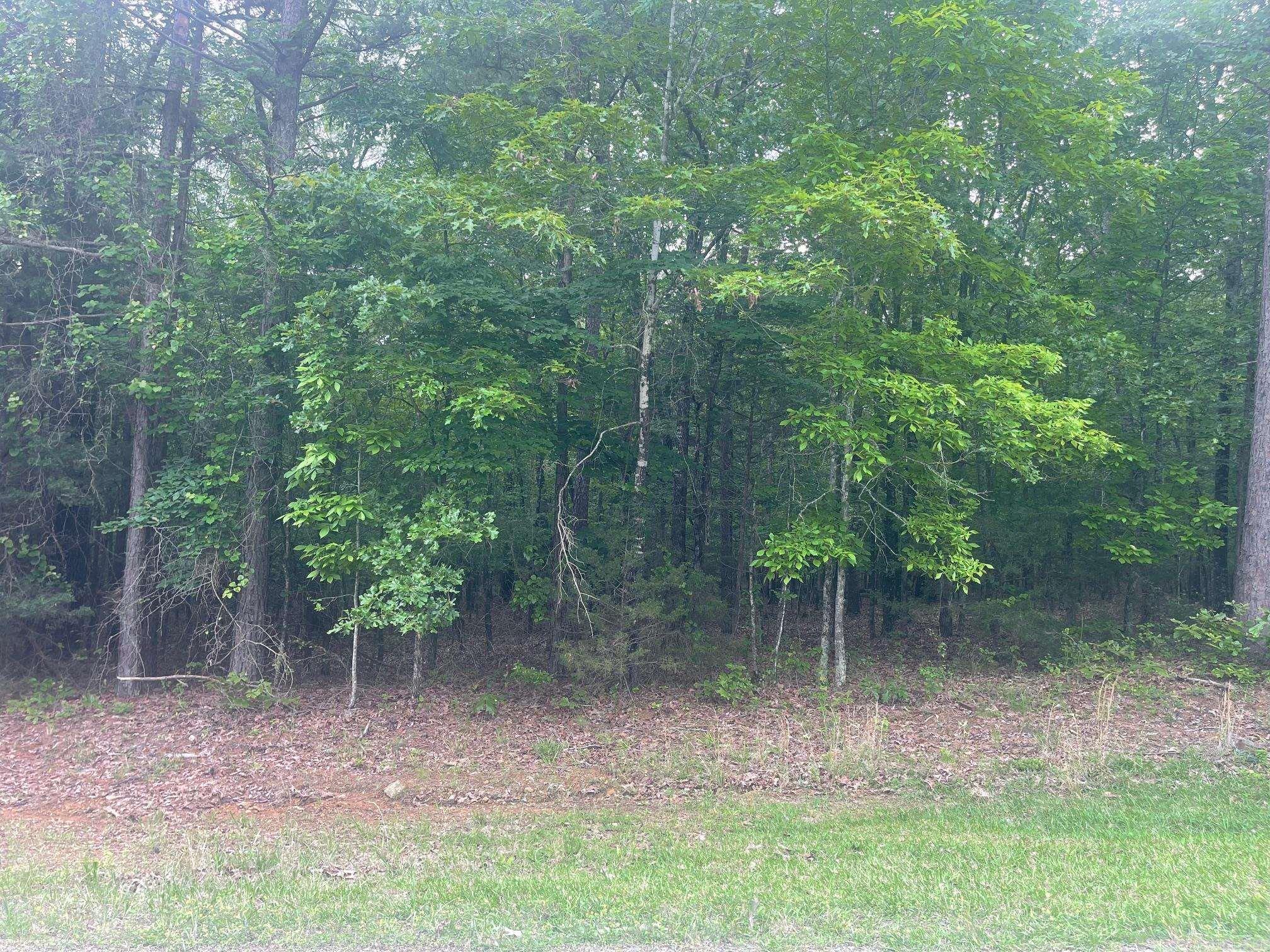 Indian Hills - Land