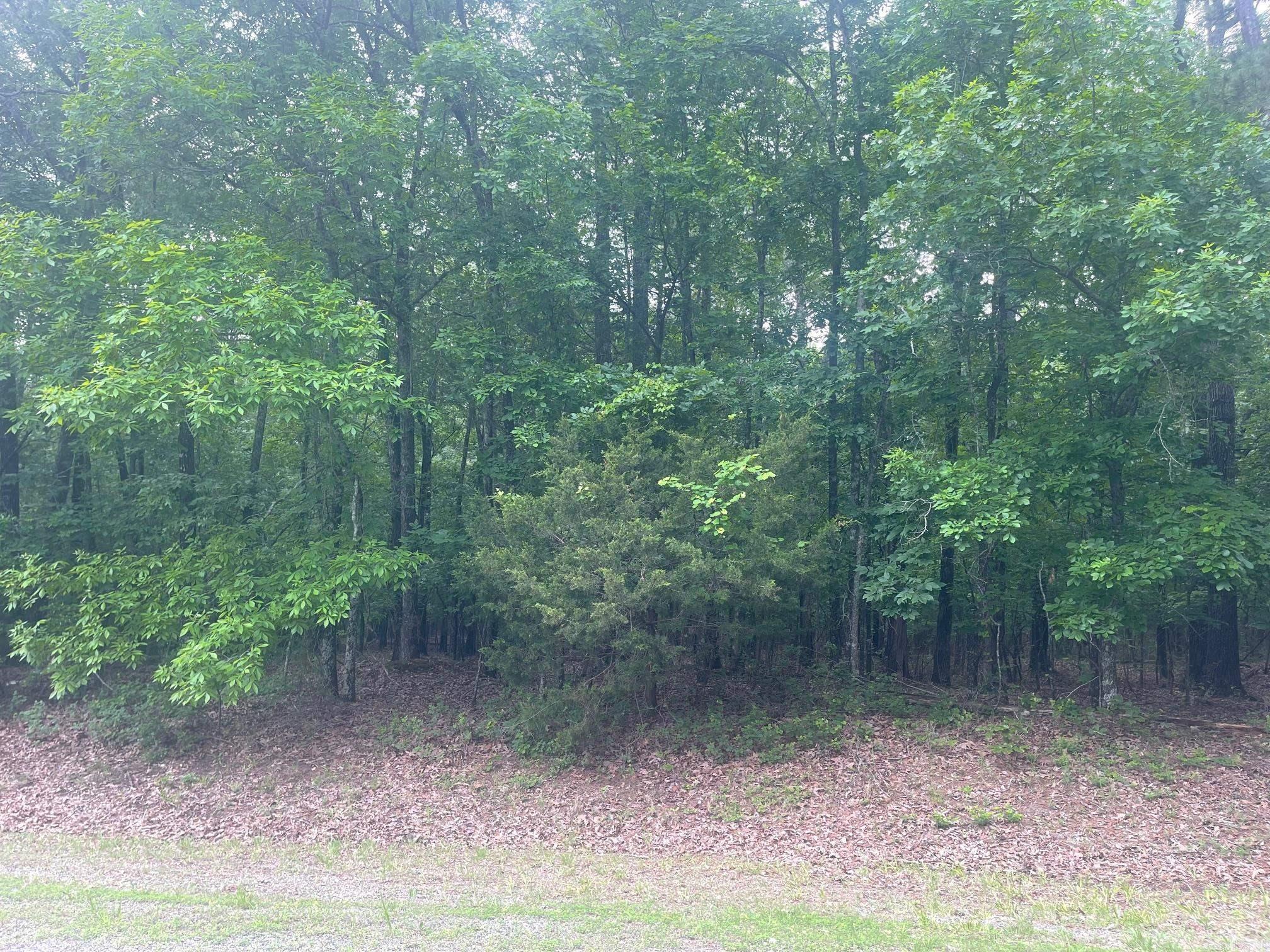 Welcome to your own slice of paradise in beautiful Fairfield Bay, Arkansas! This spacious multiple lot parcel offers the perfect opportunity to build your dream home in one of the most desirable locations in the state, with access to a wealth of amenities. Just minutes away from stunning Greers Ferry Lake. Whether you're an avid fisherman, boater, or simply enjoy relaxing by the water, this location has something for everyone. But that's not all Fairfield Bay also offers a wide range of amenities to its residents, including 3 swimming pools, 2 18-hole golf courses, hiking and biking trails, ATV/UTV trails, pickleball and tennis courts, and a full-service marina. Whether you're looking for outdoor adventure, a friendly game of tennis, or a relaxing day by the pool, Fairfield Bay has you covered. The lot itself is generously sized and offers plenty of room for your custom-built home, as well as any additional amenities you desire. With easy access to utilities and services, including water, sewer, and electricity, you'll have everything you need to make your dream a reality. Buyer to pay all closing costs and title insurance.