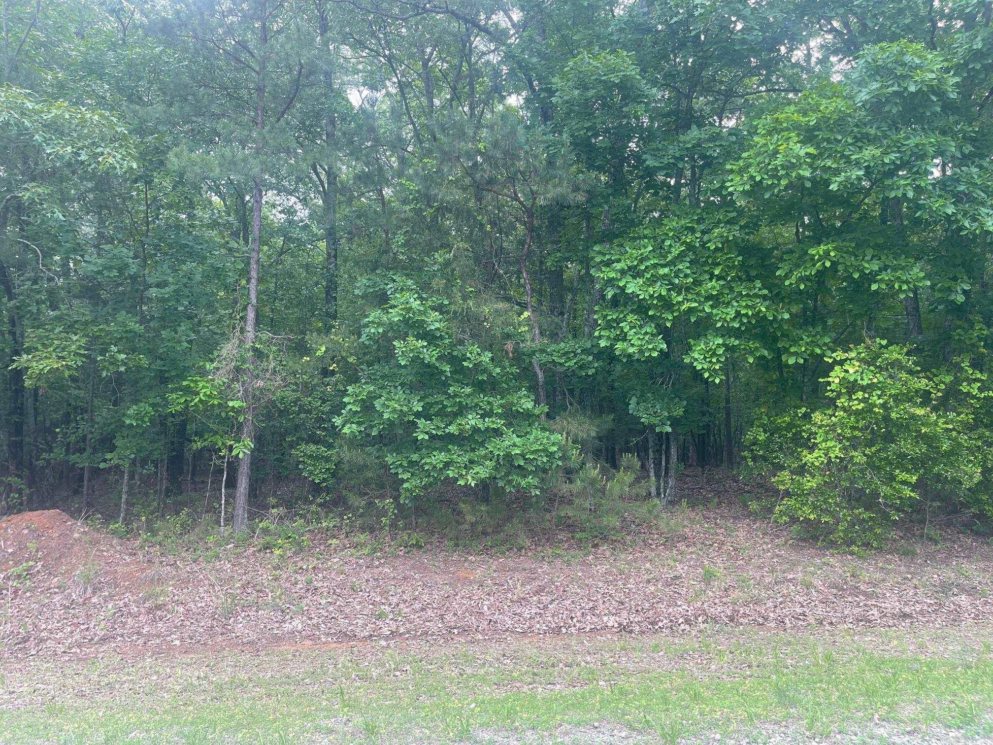 Indian Hills - Land