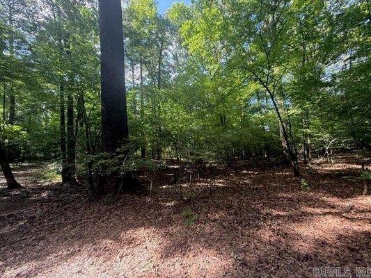 OK-INN RD, BENTON, AR 72015 - Image 98e2e3962fd5bb86ea3d122b36cdfde2/2086711279