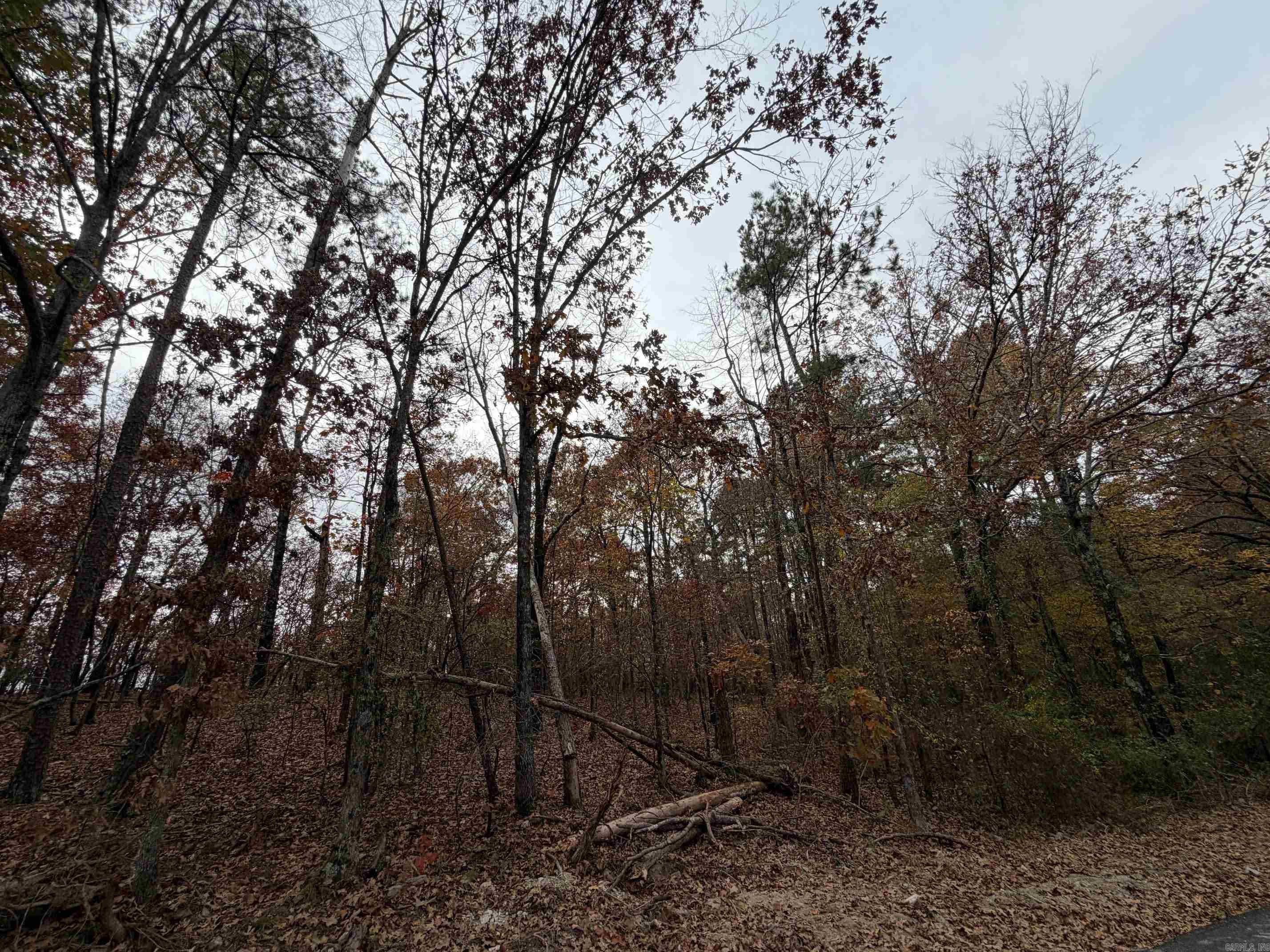 Not in Subdivision - Land