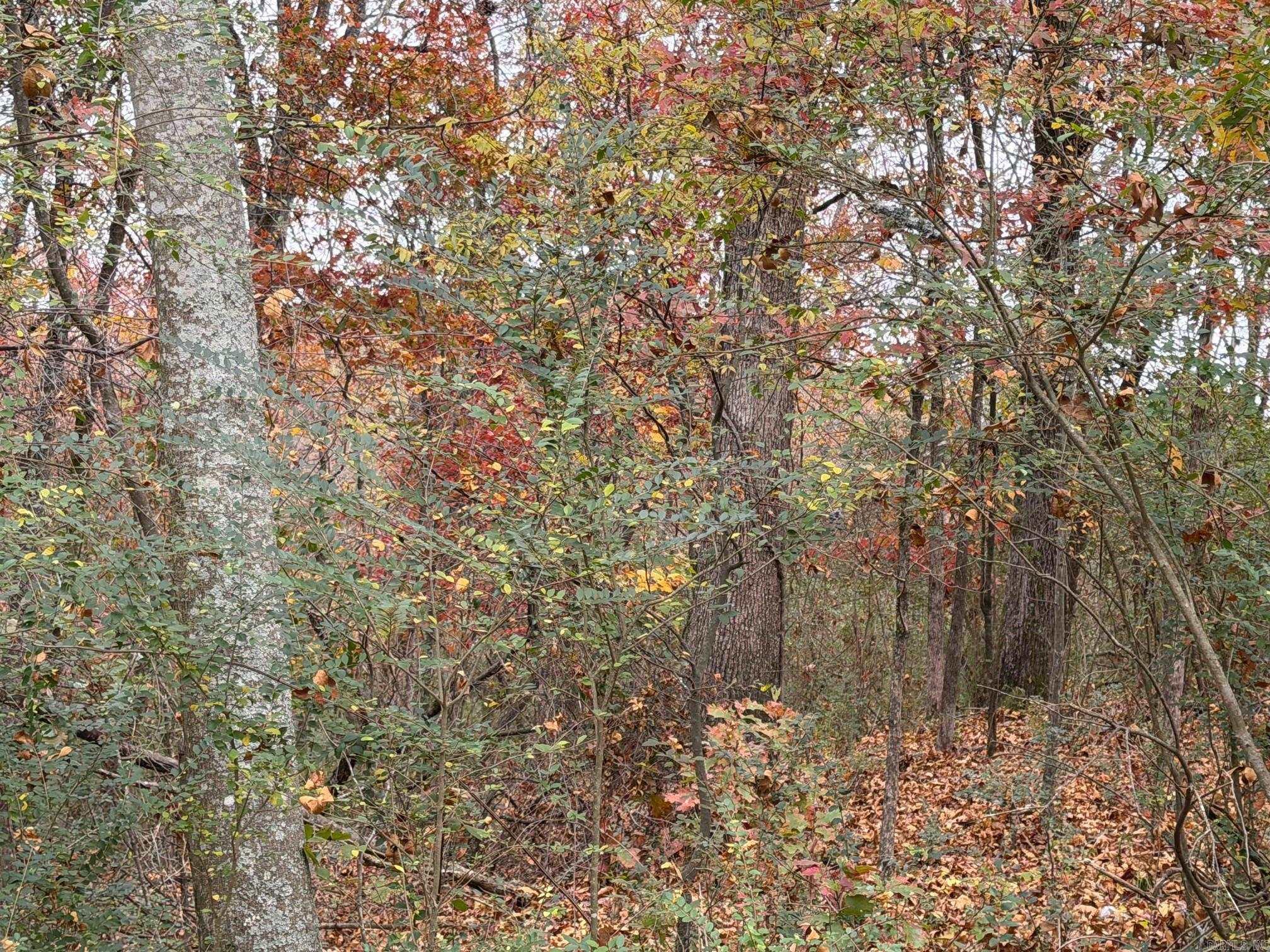 Not in Subdivision - Land