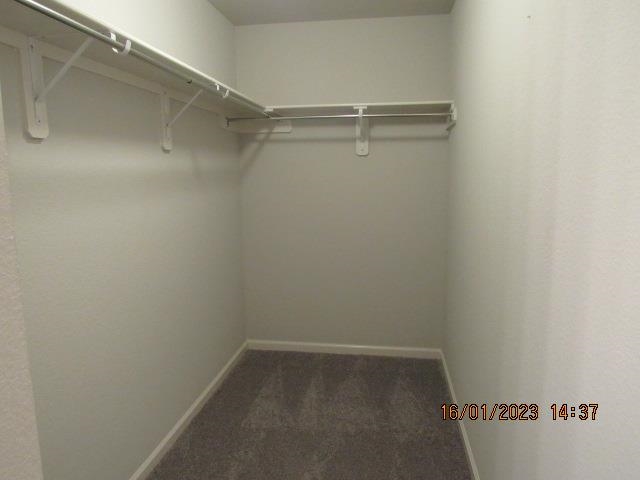 MUSEUM MEADOWS - Residential Lease