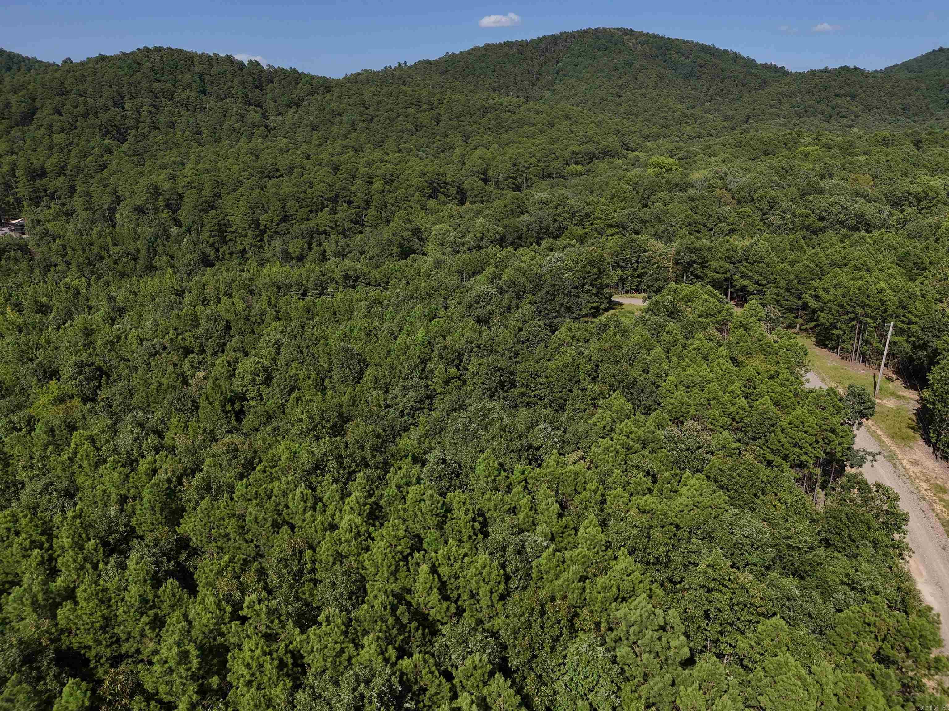 4.084 acres waiting for your new home in the beautiful Rustic Ridge Subdivision! Enjoy mountain views, peaceful surroundings, wildlife, and a great location just minutes to downtown Mena. Ride straight to the Wolf Pen Gap west trailhead which is just 12 miles away. Electric is available, and a survey is completed. Also has a wet weather creek along the northern boundary. This lot is a beautiful place to build, relax and explore - come take a look today!