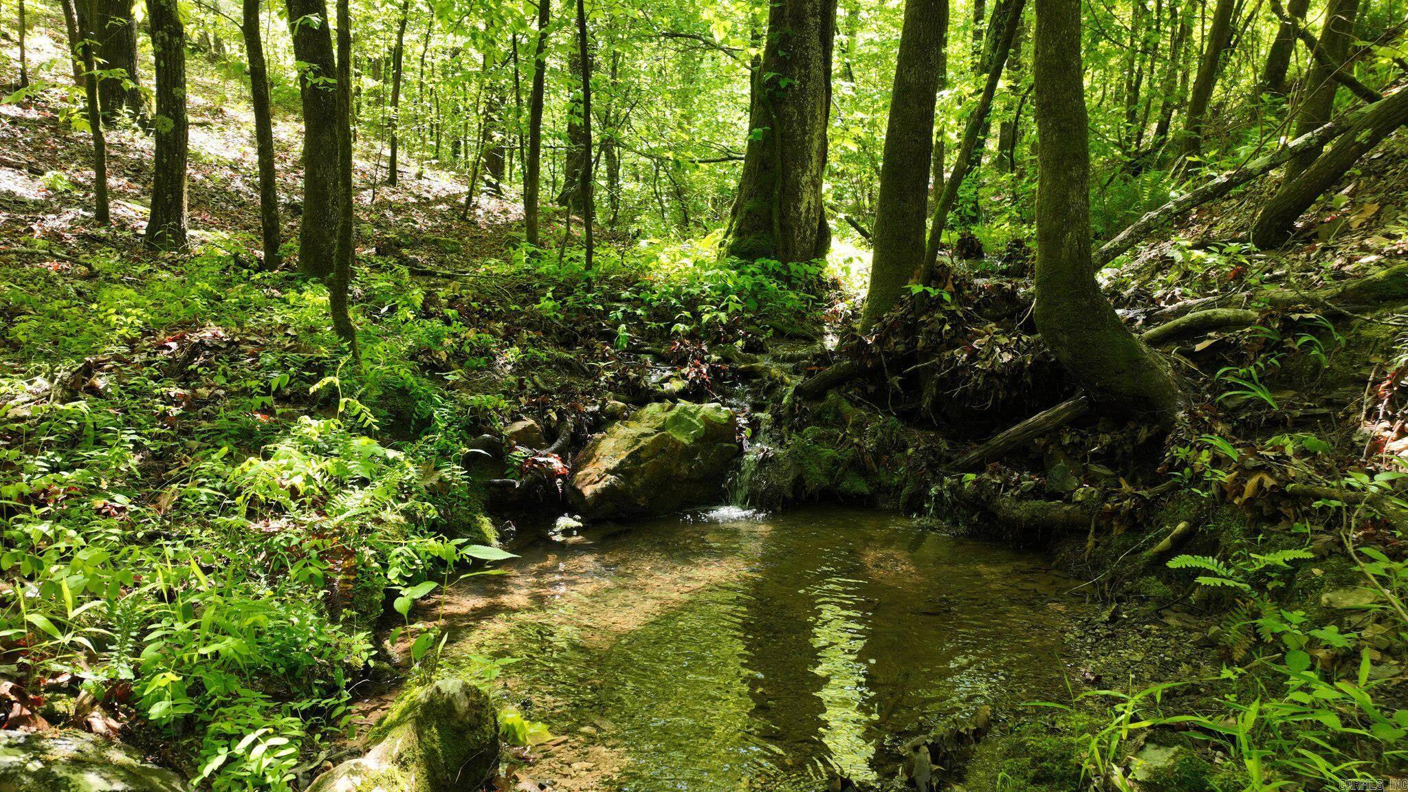 Nestled in the heart of the renowned Wolfpen ATV trails, this wooded 9.96-acre parcel offers the perfect blend of adventure and tranquility. The mountain-like terrain features high building sites with stunning mountain views, a seasonal creek—ideal for creating your dream getaway or a scenic RV retreat. With no restrictions, the possibilities are endless. The land is rich in wildlife and natural beauty, offering a true escape into nature. An easement provides convenient access, and additional adjoining lots are available if you're looking to expand your private retreat in this beautiful area. Taxes will need to be assessed after purchase due to subdivision of existing parcel.