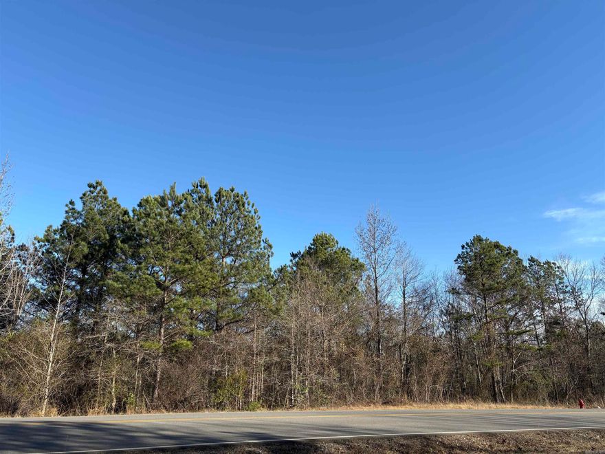 Don’t miss this rare opportunity to own an incredible 1-acre lot in the Parkway Trails neighborhood. This property backs up to a huge green space, offering exceptional privacy and peaceful surroundings—while still being just minutes from everything Bryant, Arkansas has to offer.  Enjoy neighborhood amenities including a basketball court, scenic pond, and miles of nature trails, perfect for an active lifestyle or simply unwinding outdoors. It’s the ideal blend of privacy, convenience, and community.