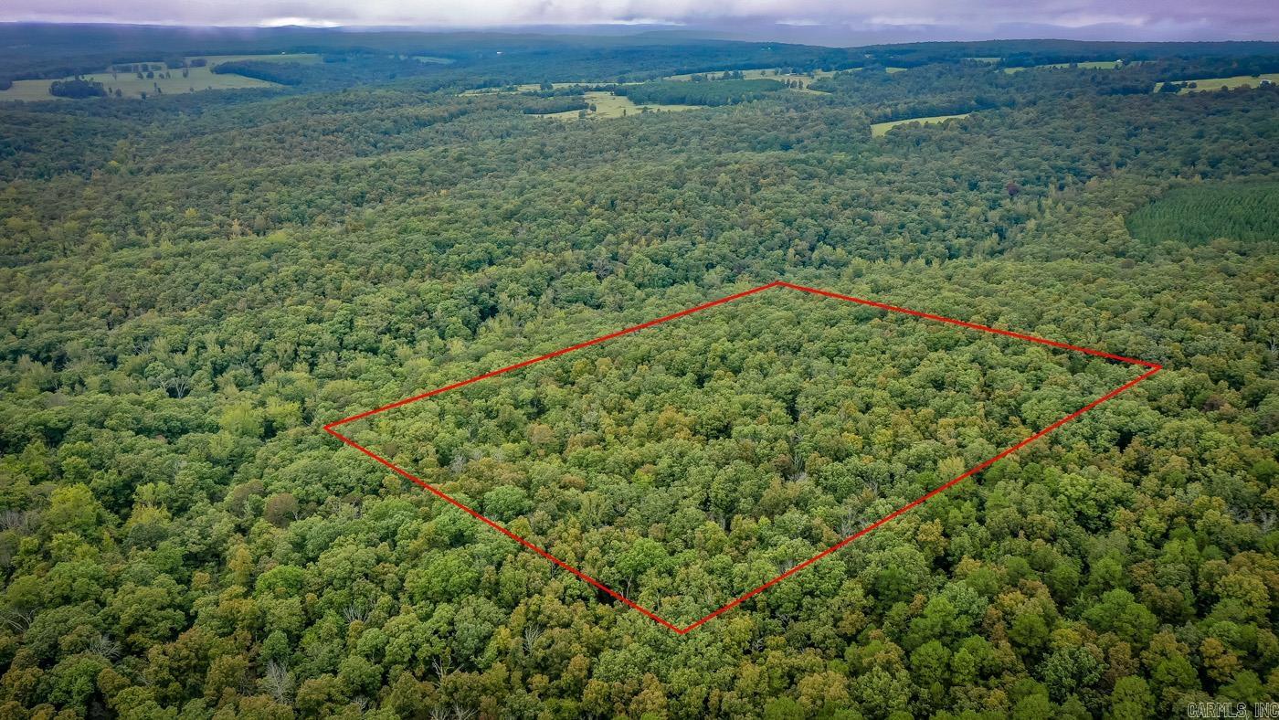 10 acres located on a private road with gated access in the Ozark Mountains. This property would be a great little hunting camp or used for recreational purposes, w/ a driveway into the property, power at the road and a well on site. The owner has done a little hunting on the property and has harvested some deer in the past. Close to Greers Ferry Lake & the Buffalo River. By appointment only.