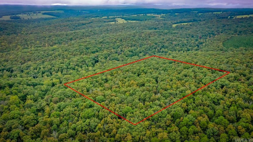 10 acres located on a private road with gated access in the Ozark Mountains. This property would be a great little hunting camp or used for recreational purposes, w/ a driveway into the property, power at the road and a well on site. The owner has done a little hunting on the property and has harvested some deer in the past. Close to Greers Ferry Lake & the Buffalo River. By appointment only.