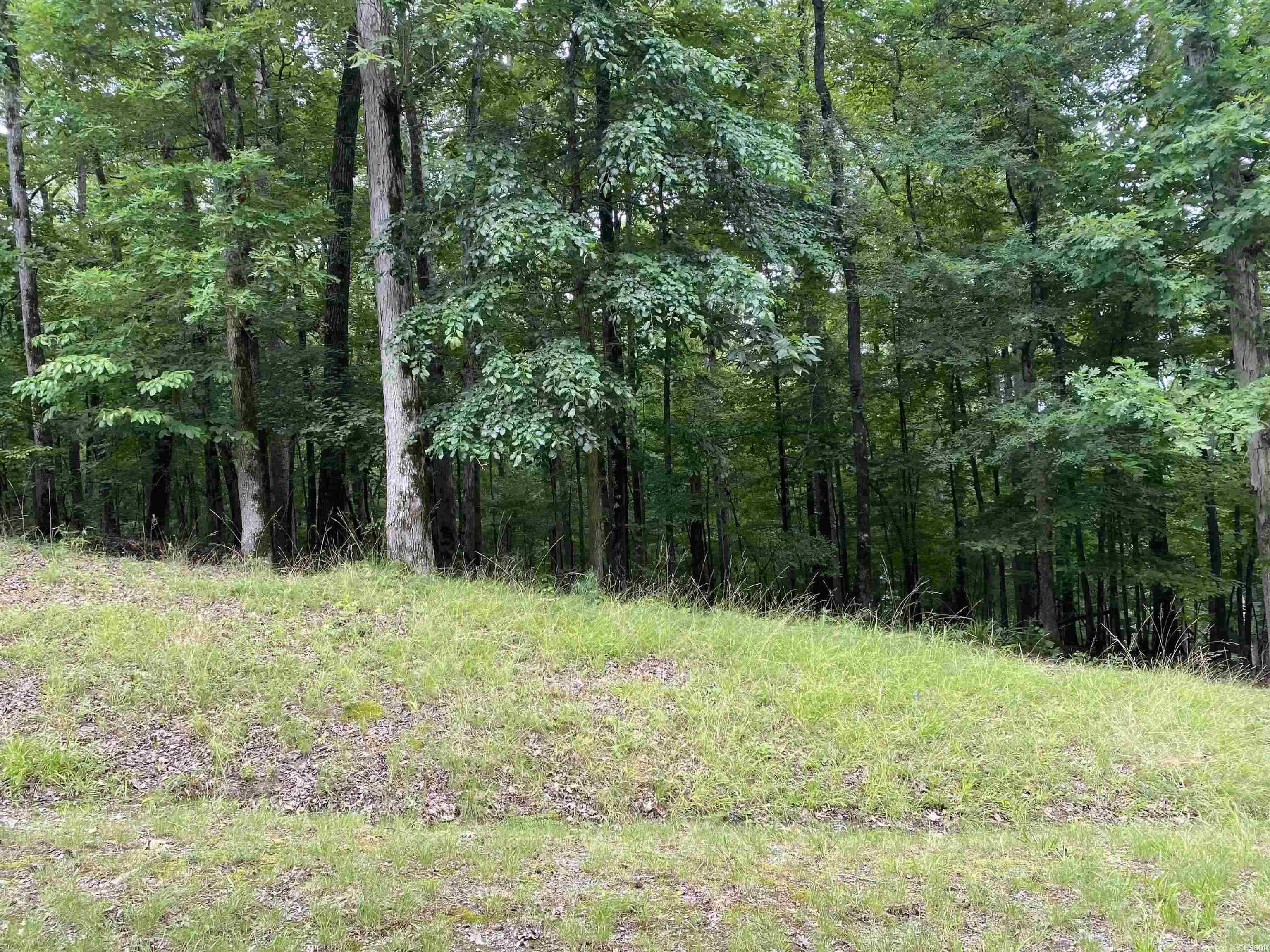 Great buildable lot on a quiet street in the gated community of Diamondhead. Amenities include an 18 hole PGA golf course, Olympic sized swimming pool, police station, community boat ramp, tennis/pickle ball, basketball courts, pavilion, playground, disc golf, and a country club with restaurant. This lot is located in the Malvern school district.