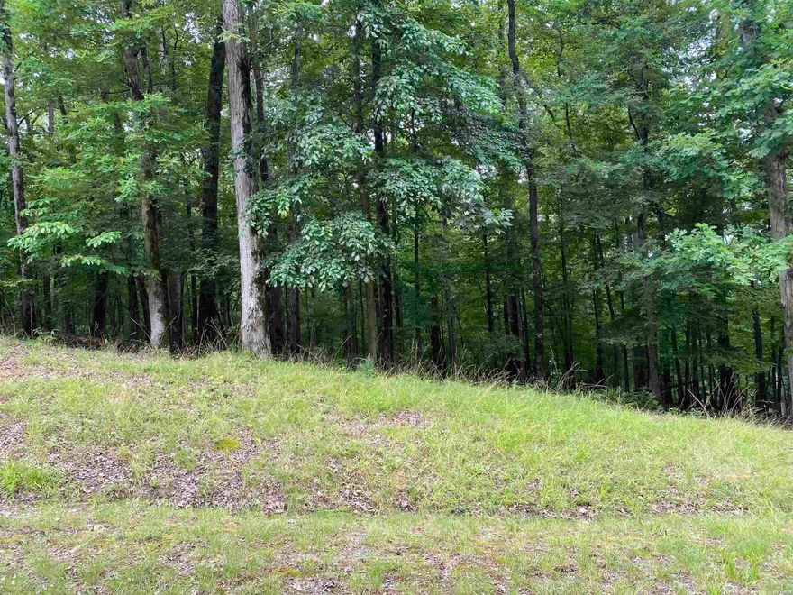 Great buildable lot on a quiet street in the gated community of Diamondhead. Amenities include an 18 hole PGA golf course, Olympic sized swimming pool, police station, community boat ramp, tennis/pickle ball, basketball courts, pavilion, playground, disc golf, and a country club with restaurant. This lot is located in the Malvern school district.