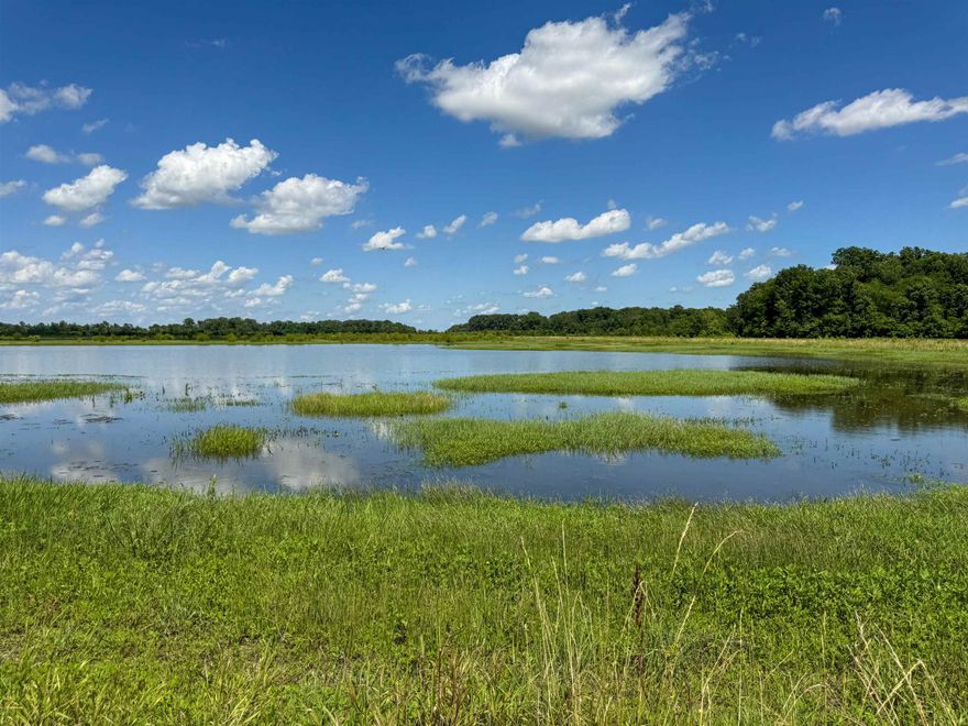 Nestled between the Black and Strawberry Rivers, this 525± acre WRE property is one of the most dynamic waterfowl tracts in the Arkansas Delta. With over 350± acres of managed water, five independently gated pools, and professionally engineered levees, the farm is designed for precision water control and consistent duck use season after season. Moist-soil vegetation, native grasses, and natural food sources support exceptional habitat within the heart of the Mississippi Flyway. Wildlife mounds create ideal blind sites and vantage points, and interior roads allow easy access between impoundments. Approximately 6 acres along the Strawberry River offer space for an off-grid lodge or cabin site for buyers seeking a private basecamp. Neighboring the renowned Stan Jones’ Hogback Farms and positioned near Rainey Brake WMA, this rare offering blends recreation, conservation value, and legacy-level waterfowl opportunity in one remarkable Delta property.