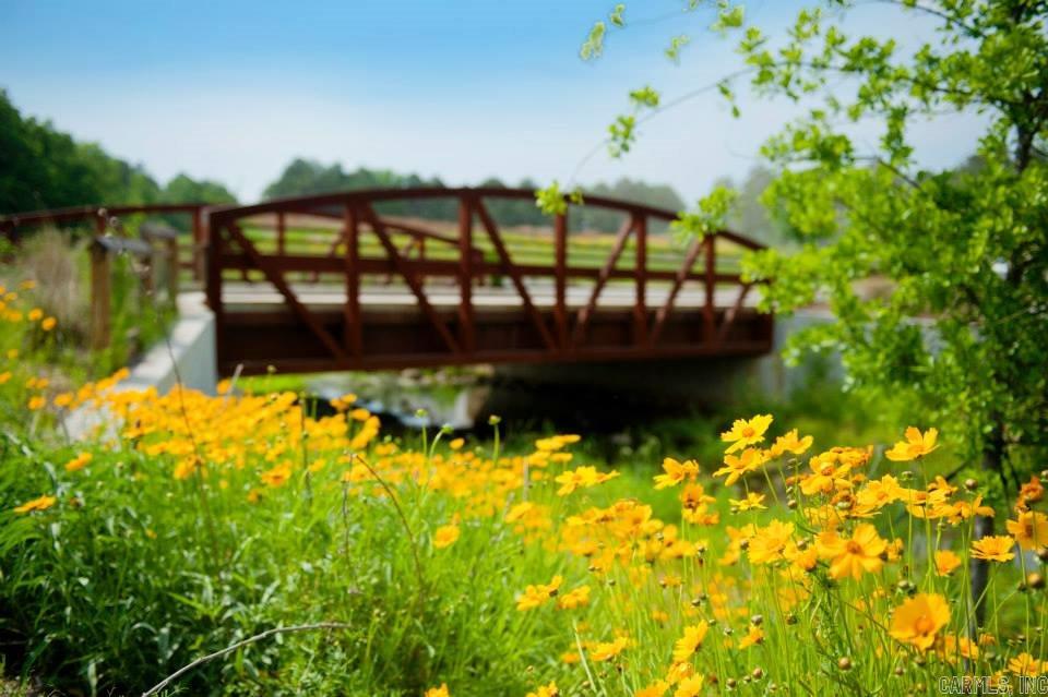 VILLAGE @ HENDRIX - Land