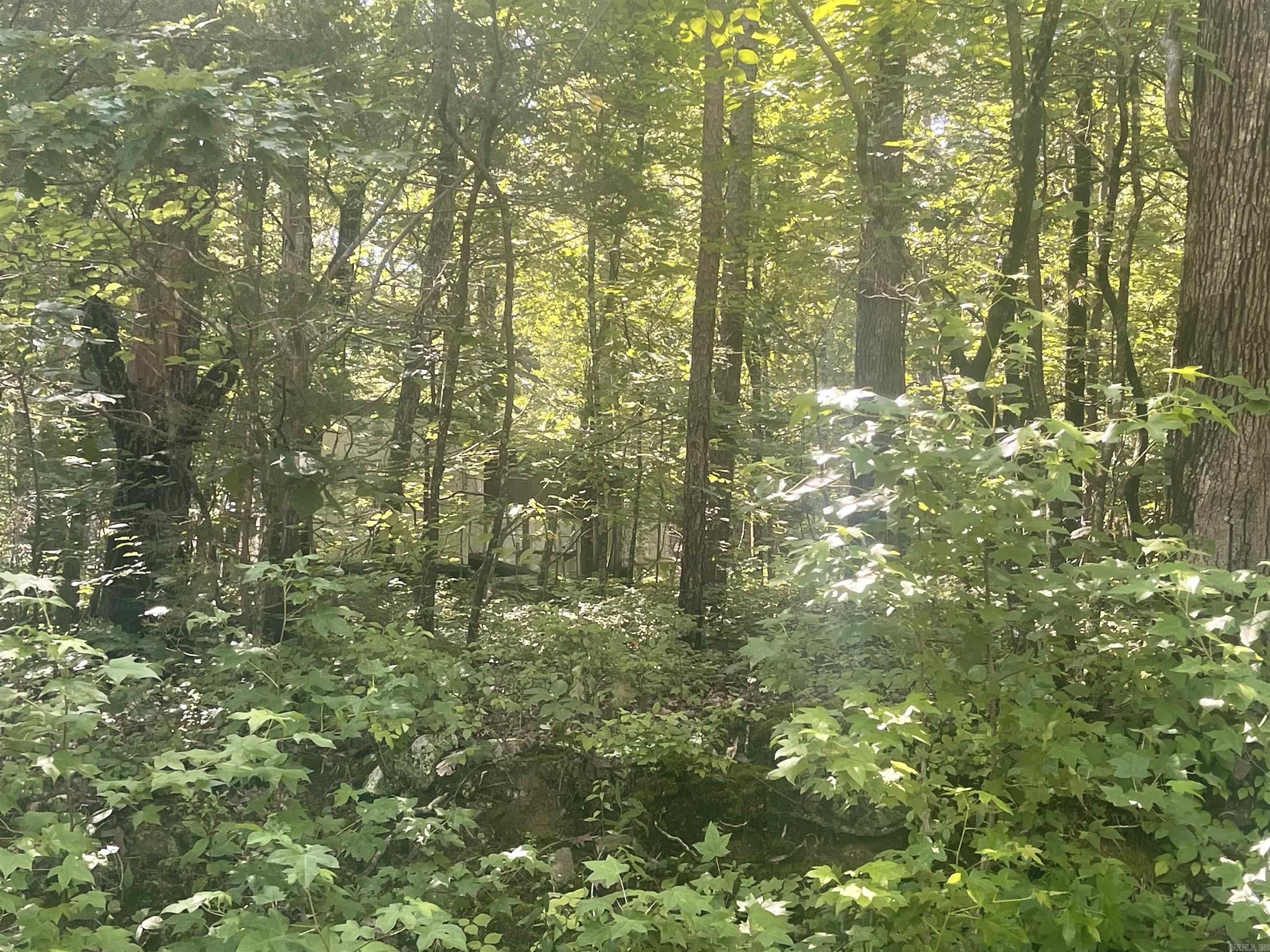 Frontier Canyon - Land