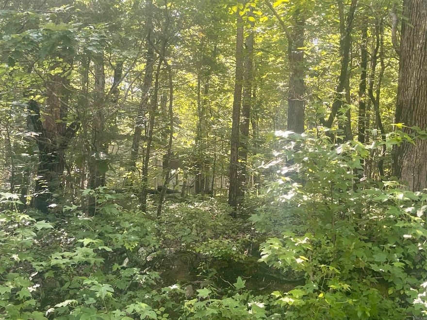 Nice large lot in Frontier Canyon.  Very close to the boat launch.  Mobiles allowed.  Come see this one before it's gone.