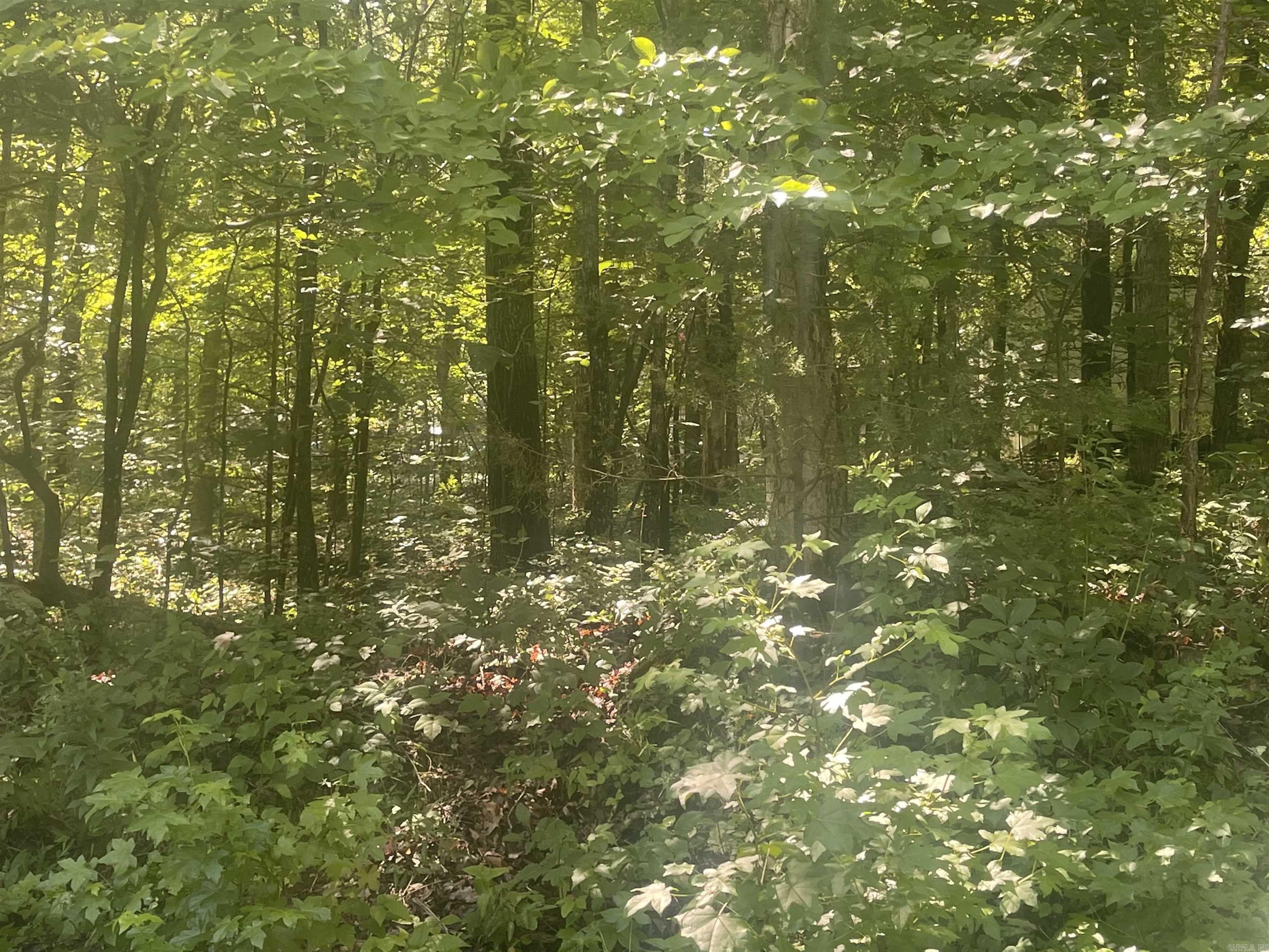 Frontier Canyon - Land