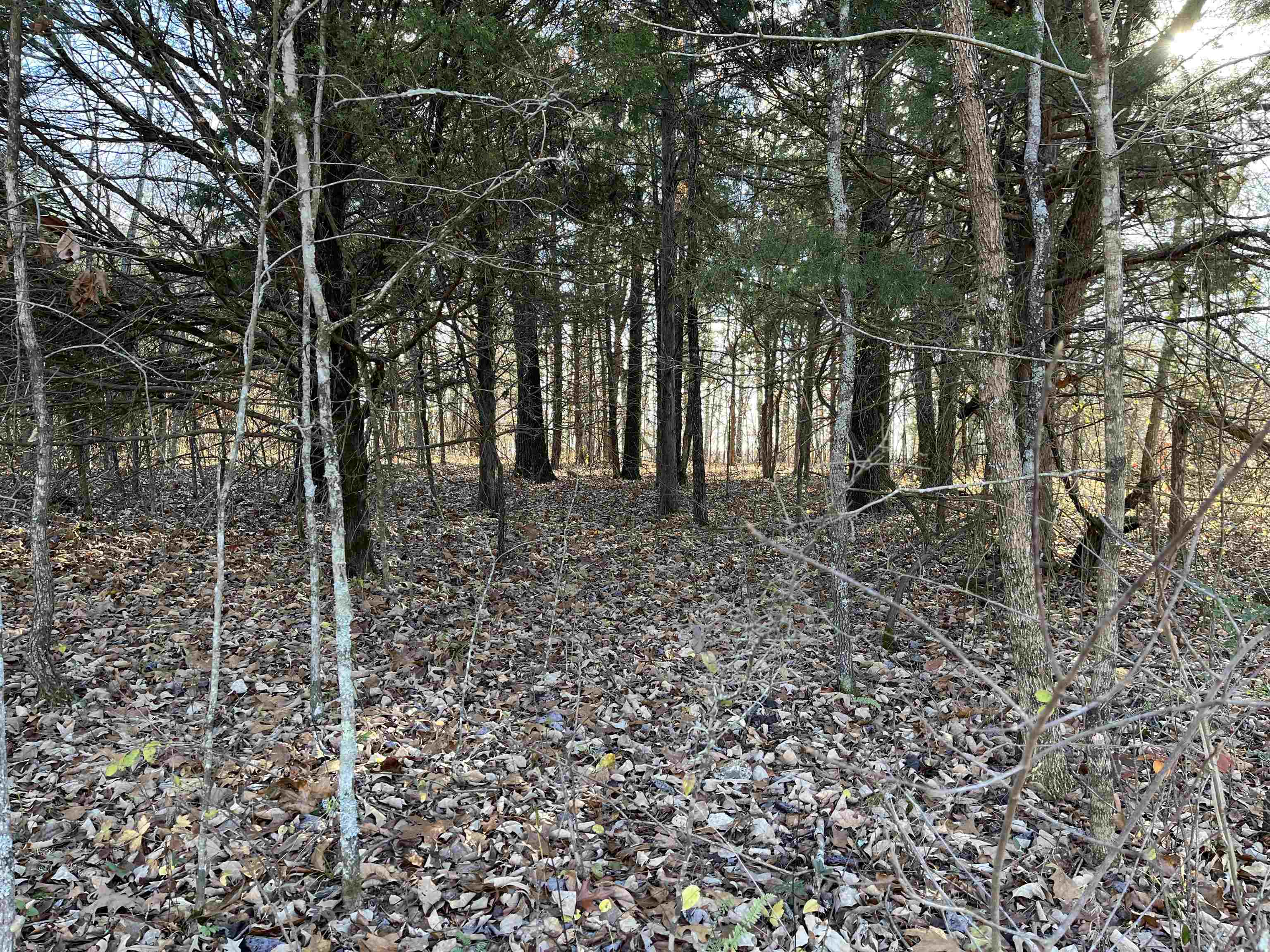 Two one-acre M/L lots positioned on a corner, offering a tranquil and secluded enviroment. These level lots present attractive options for building your dream home tucked away in this natural wooded landscape; including where you could be blessed with the potentional of a beautiful view off the back of the property since it gently slopes downward. If you aren't ready to build yet, you can place your camper, RV, or mobile on the property. The property is located on a good gravel road with little travel. Only 5 minutes from the Highland Shopping Center and 15 minutes or less from Ash Flat, Cherokee Village, Hardy and the Spring River. Perc test is necessary. Explore the potential of these inviting properties!