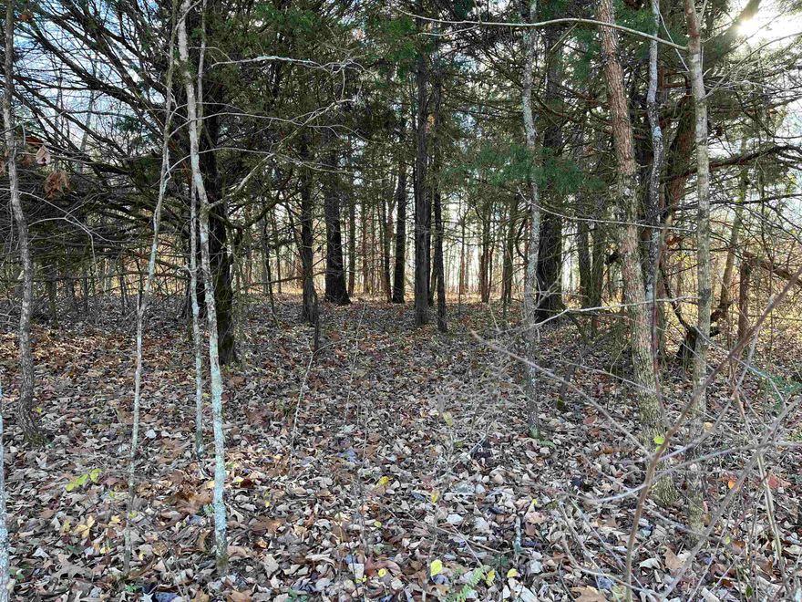 Two one-acre M/L lots positioned on a corner, offering a tranquil and secluded enviroment. These level lots present attractive options for building your dream home tucked away in this natural wooded landscape; including where you could be blessed with the potentional of a beautiful view off the back of the property since it gently slopes downward. If you aren't ready to build yet, you can place your camper, RV, or mobile on the property.  The property is located on a good gravel road with little travel. Only 5 minutes from the Highland Shopping Center and 15 minutes or less from Ash Flat, Cherokee Village, Hardy and the Spring River. Perc test is necessary. Explore the potential of these inviting properties!