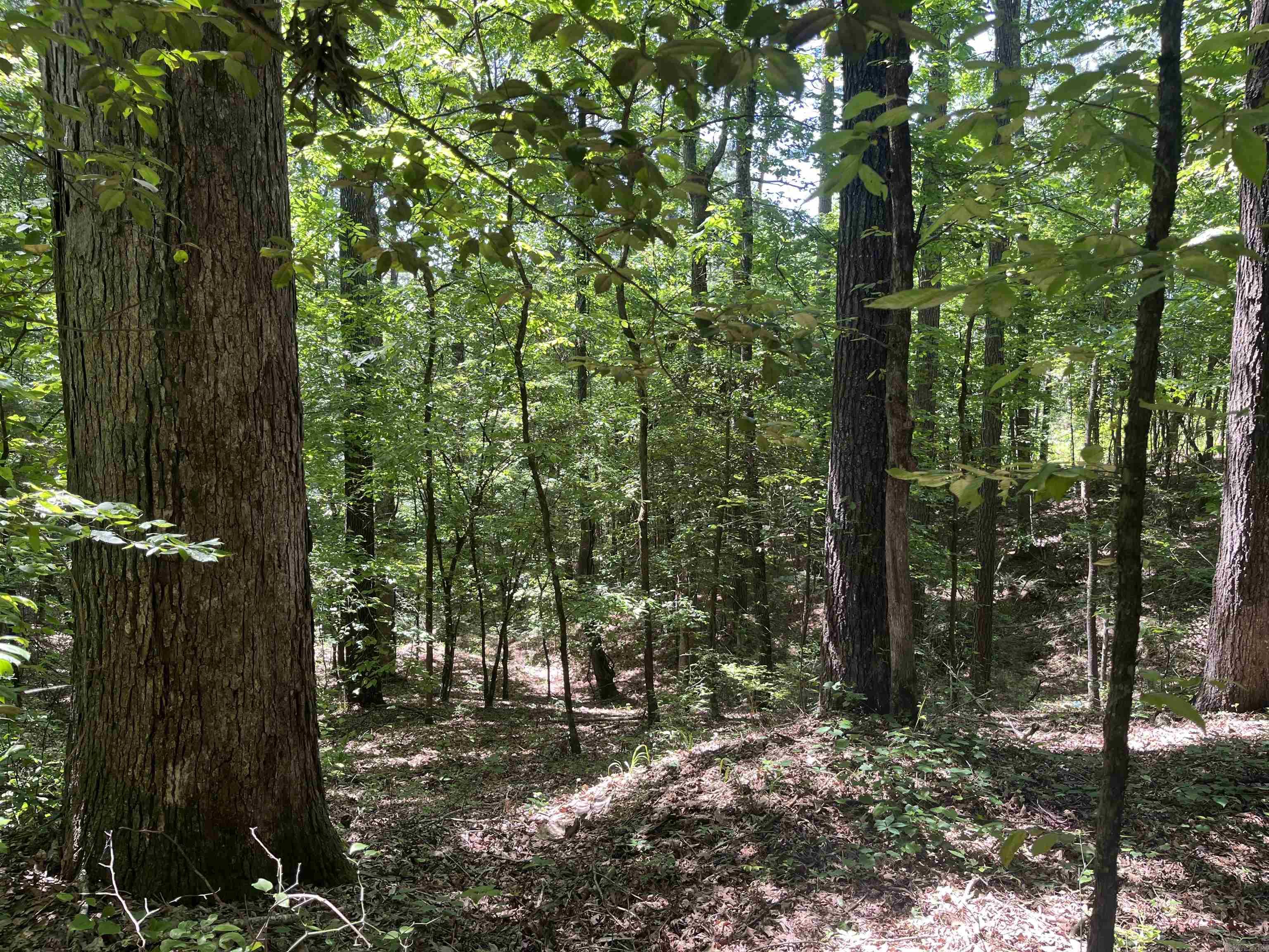 4-acre tract of mature hardwood timberland located in Dierks, Arkansas. This serene property is a nature lover's dream, offering hardwoods that provide natural beauty and privacy. Whether you're looking for a tranquil getaway, a hunting spot, or a place to build a cozy cabin, this property is the one. Timber: Abundant mature hardwoods, ideal for sustainable harvesting or maintaining as a natural preserve Wildlife: Frequent sightings of deer, turkey, and other native species Utilities nearby for easy connection. Ideal for nature lovers, hunters, or anyone seeking peace and quiet Don’t miss this opportunity to own a slice of Arkansas wilderness.