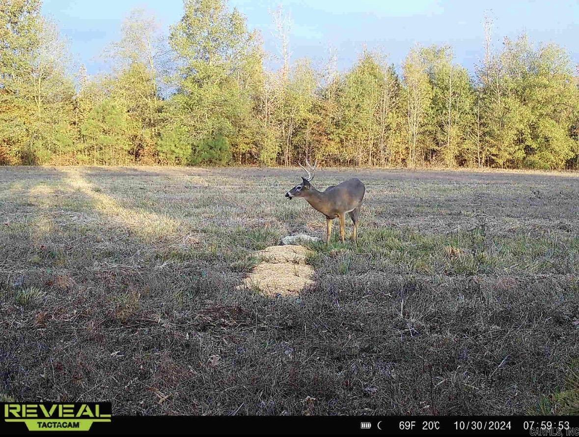 Small farm enthusiasts looking to move into the country, look no further. This 27 acre m/l parcel has lots of potential for your small farm. (Additional acreage is available too.) This is an outstanding location for affordable country living! Little Rock commuters? This property allows you to access Hwy. 67 / 167 in about 3 minutes. The amenities of town are just a few minutes away too. Outstanding deer habitat and hunting, small game opportunities, trail riding, etc... -1 mile from Dollar General -3 miles from Hwy. 67 / 167 -10 miles from Searcy -7 miles from Beebe -County water -Electricity -440' of paved Hwy. 13 road frontage (Additional acreage available. Agent owned.)
