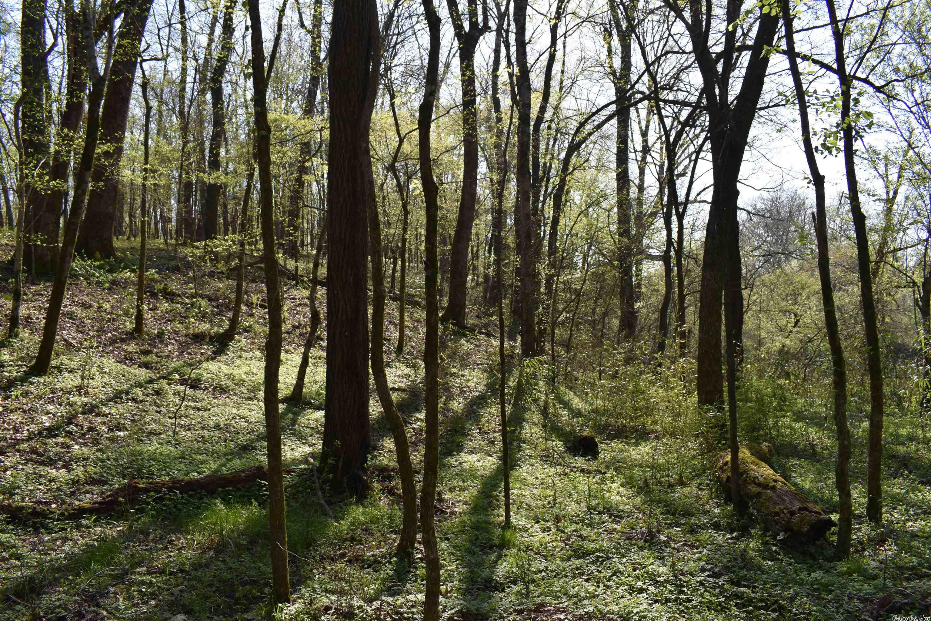 Metes & Bounds - Land