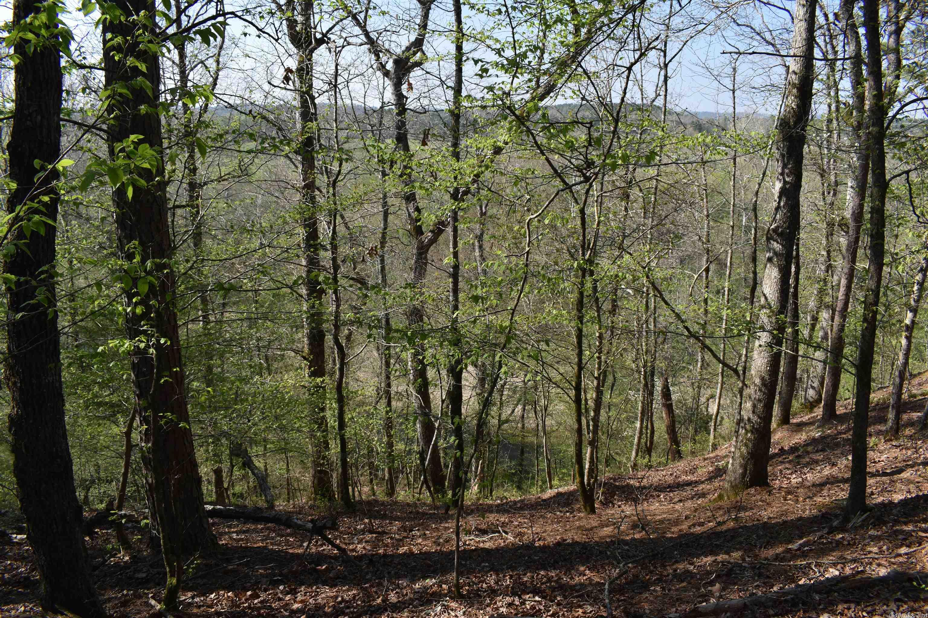 Metes & Bounds - Land