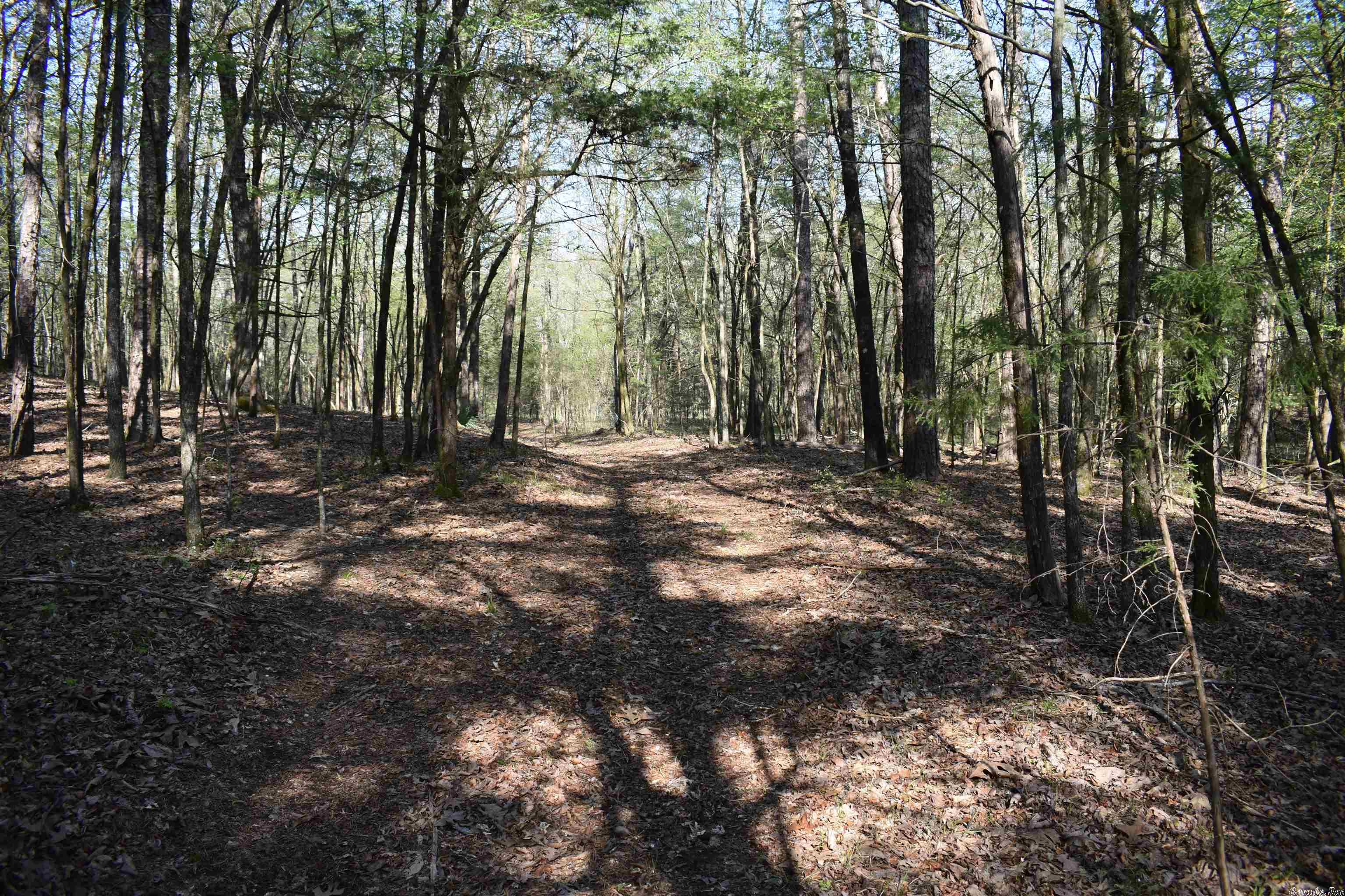 Metes & Bounds - Land