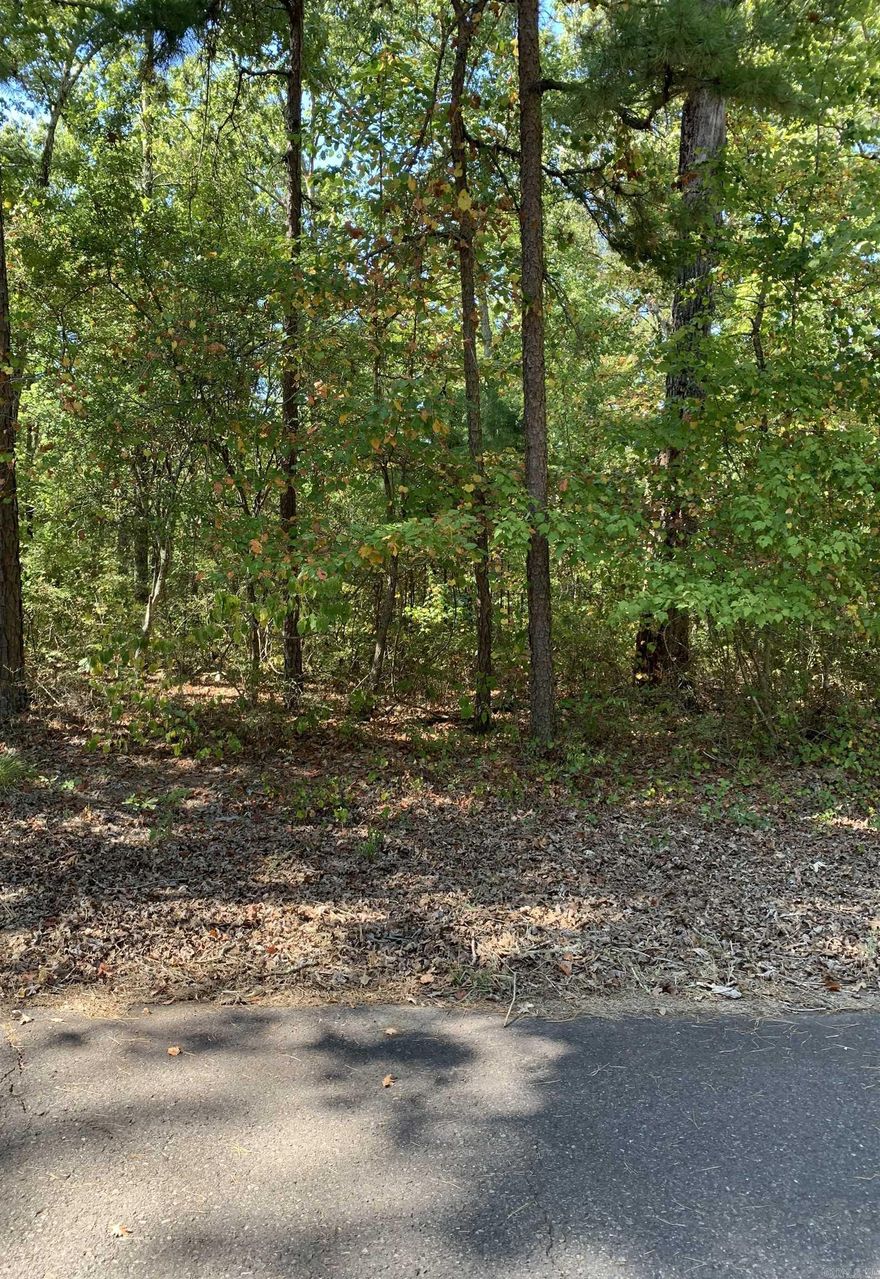 Beautiful building lot in Hot Springs Village. Make this one yours and begin enjoying all the Village amenities. New buyers to the Village have a $300.00 buy in fee payable to the POA at closing.