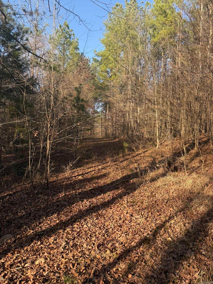 Walking distance to the Little Missouri River and minutes from Lake Greeson and the Crater of Diamond State Park, Lot 3 is ready to build your dream get away, cabin or home away from home.  Contains 2.13 surveyed acres of land.  Contact our office for more details.