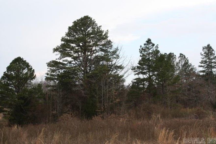 Private and beautiful 20 acres! Potential building site for your home with mountain views. mostly open land with scattered trees, and interesting mix of level and rolling terrain.  Rural area near National Forest is 15 miles east of Mena, Ar. and surrounded by large acreage. Pavement ends just before property. Rural water and electric available.