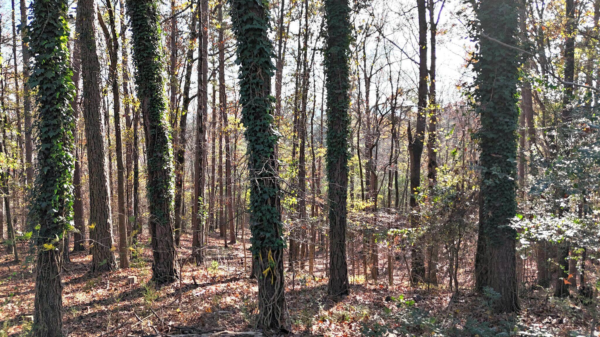 Highland - Residential