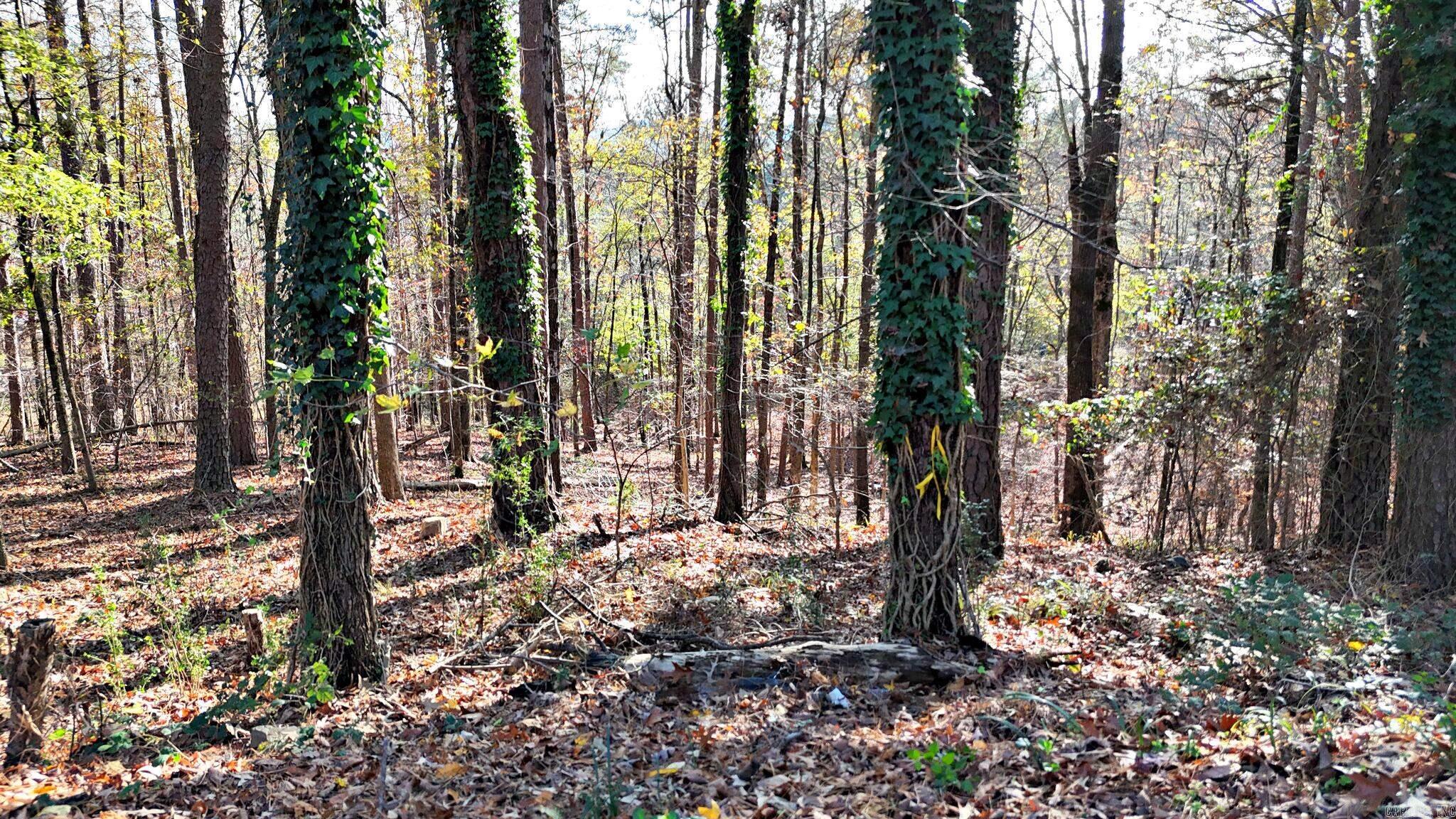 Highland - Residential