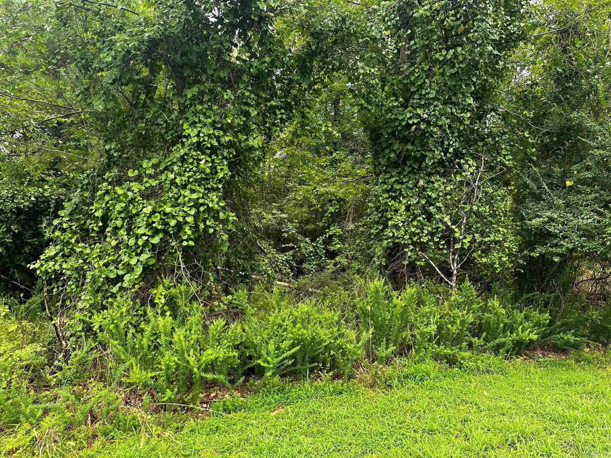 Great lot for building. Lake front. Pictures taken from lake are below the white line. Nice location. Utilities are underground. Mineral rights do not convey.