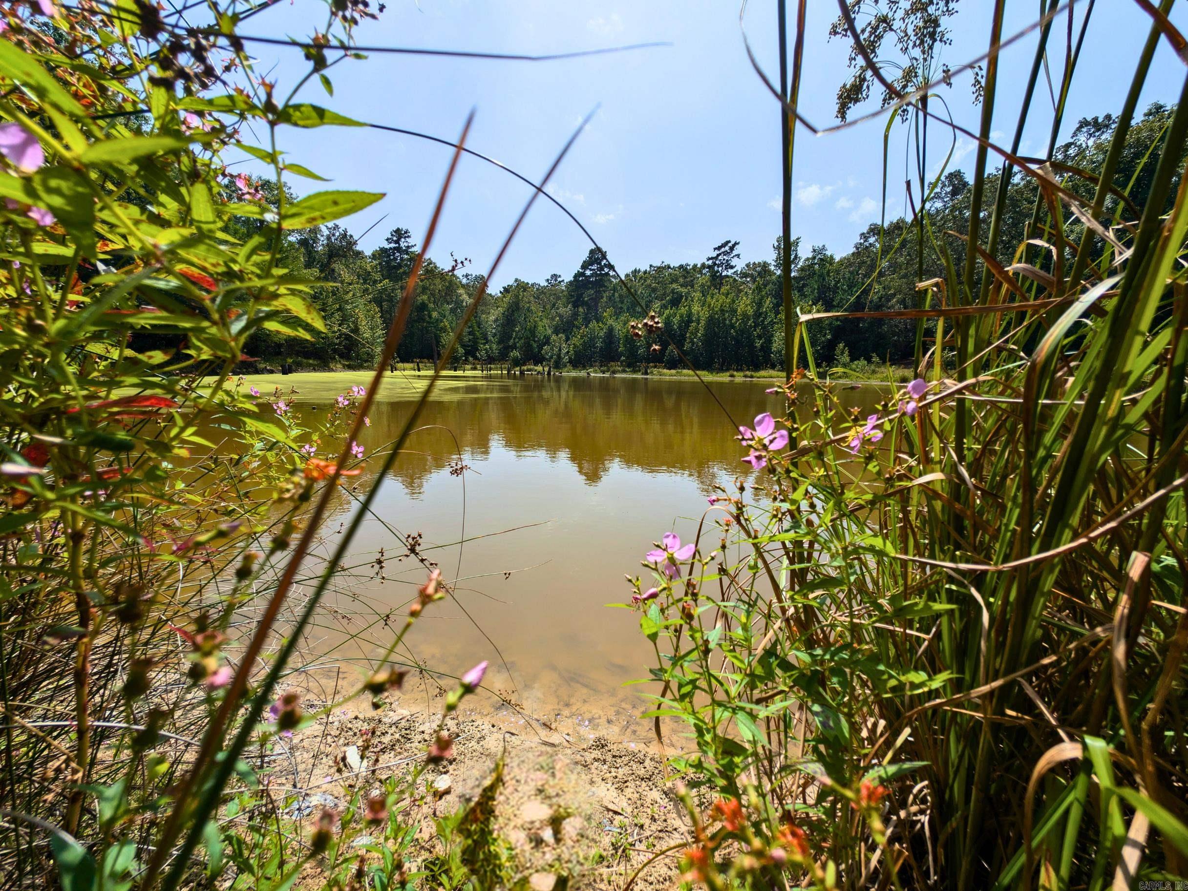 Metes & Bounds - Land