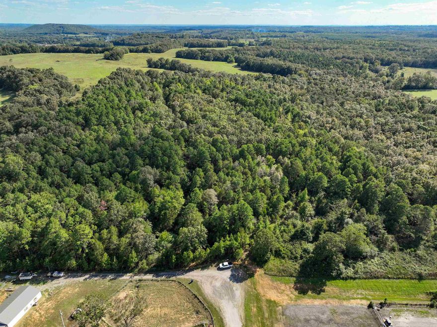 Just outside of Quitman city limits, these 40 acres are situated at the end of a quiet dead-end street. This beautiful wooded tract offers a serene and natural setting, boasting mature oak trees, a seasonal wet-weather creek, and a natural habitat for local wildlife. This location is ideal for outdoor enthusiasts or those seeking a secluded homesite with multiple building areas. Water and electric supply connections are available. Call today to see this one yourself!
