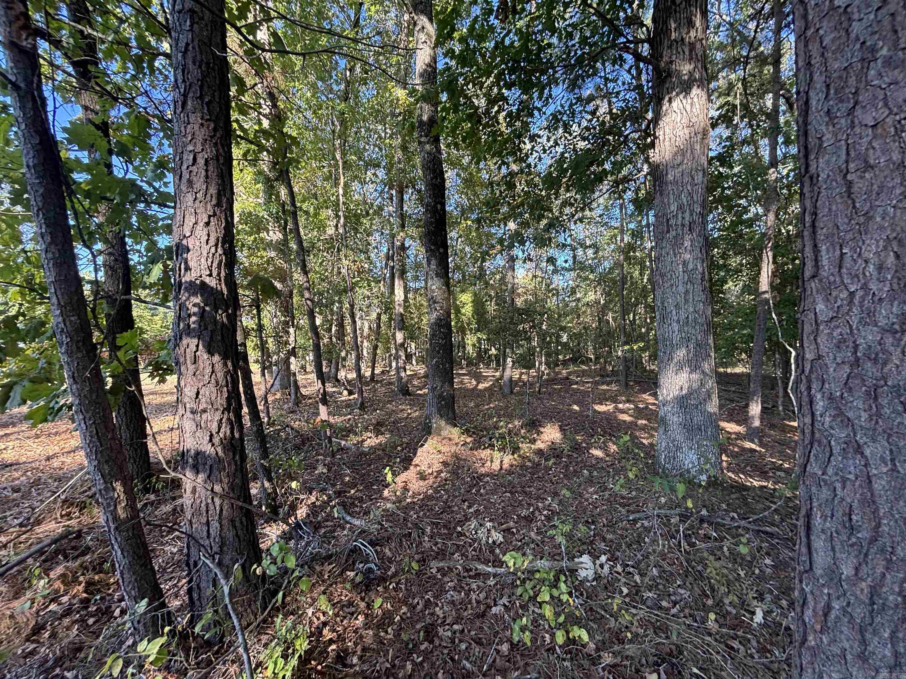 Brownwood - Land