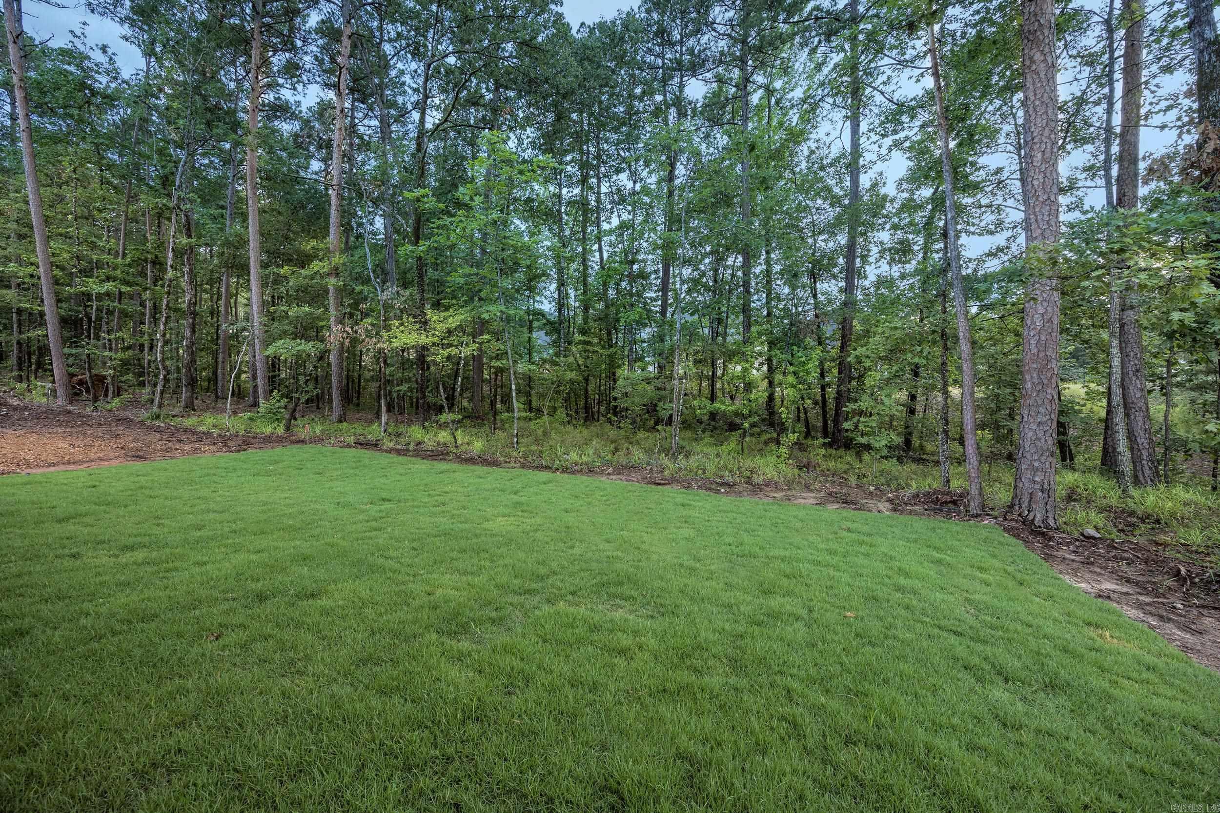 CHENAL VALLEY CALION COURT - Residential