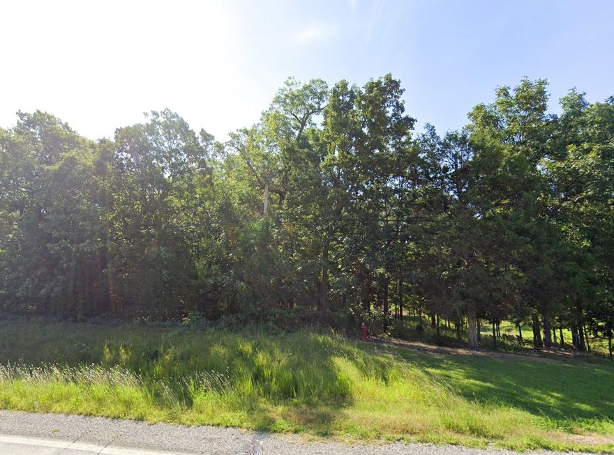 Imagine the endless potential of this unrestricted 1.2-acre lot off Hwy 178! Just a stone's throw from Lakeview, this property could be perfect for your new home. Picture yourself building a stunning new home, placing any size manufactured or tiny home, or even a creative Barndominium. If need a spot to park your RV/Camper while enjoying the White River or Bull Shoals Lake, you're in luck!
