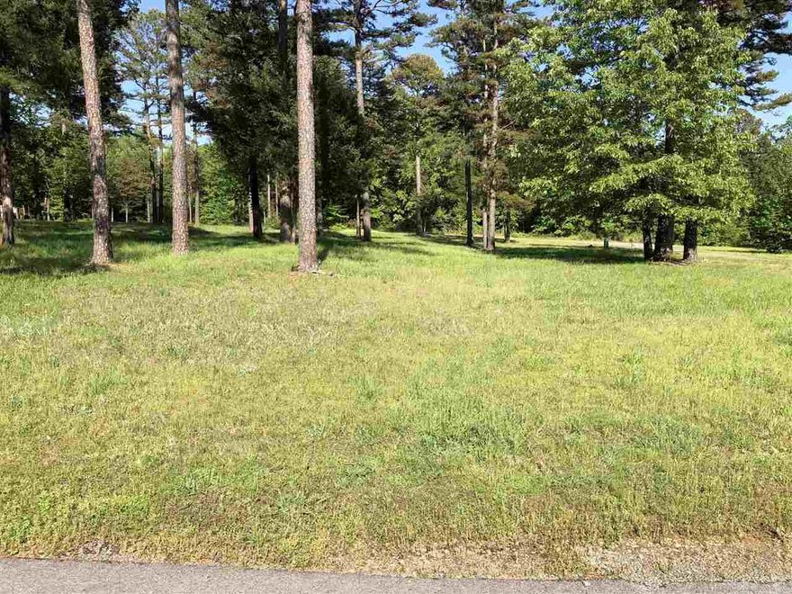 Vacant Lot to build your Lake House ONE of the only 2 Gated communities in Greers Ferry that has all of the amenities including swimming pool, picnic area, tennis courts, basketball court, horseshoe pits, playground, PLUS trash pickup & yard maintenance too. Shiloh Marina is right around the corner for quick lake access to your boat slip or launch at their boat ramp. Water & Electric at property, buyer will need to install grinder pump tank to connect to community sewer. Only lots left are Lot 34R ($27,500) , Lot 53R (27,500), Lot 43R(32,500) , & Lot 32 ($14,500)