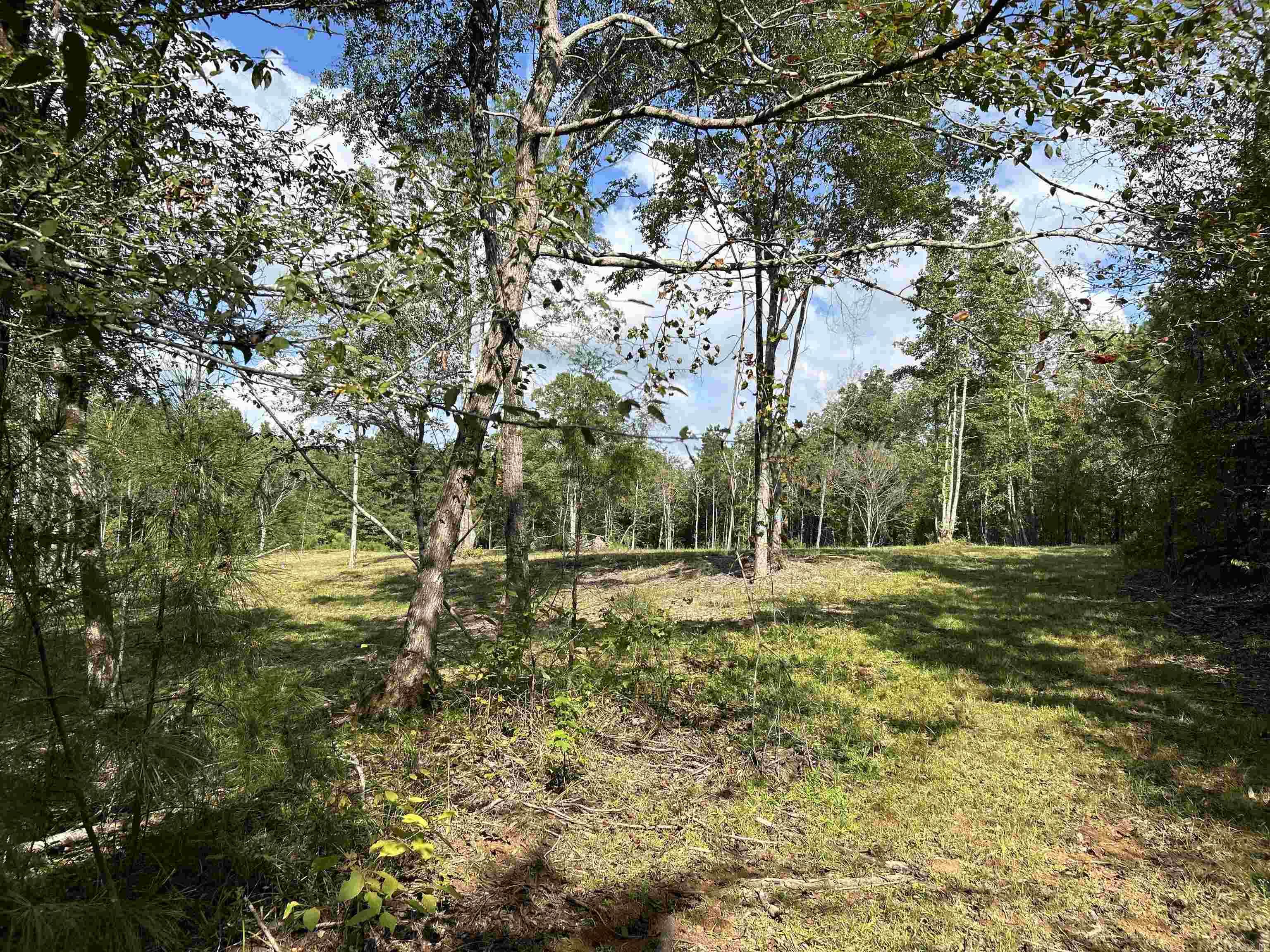 Call for an appointment to walk this property! Beautiful hilltop homesite is waiting to build on, bring your plans! Trees on this property were selectively removed to build a home and shop; otherwise the property is surrounded with mature trees and nice views. Plenty of room to build a shop, biking trails, or pond. Nice location within minutes of I-30, schools, hospital and shopping. Approximately 15 minutes from Lake Degray. Utilities are not on site but located on Cedar Grove Road.