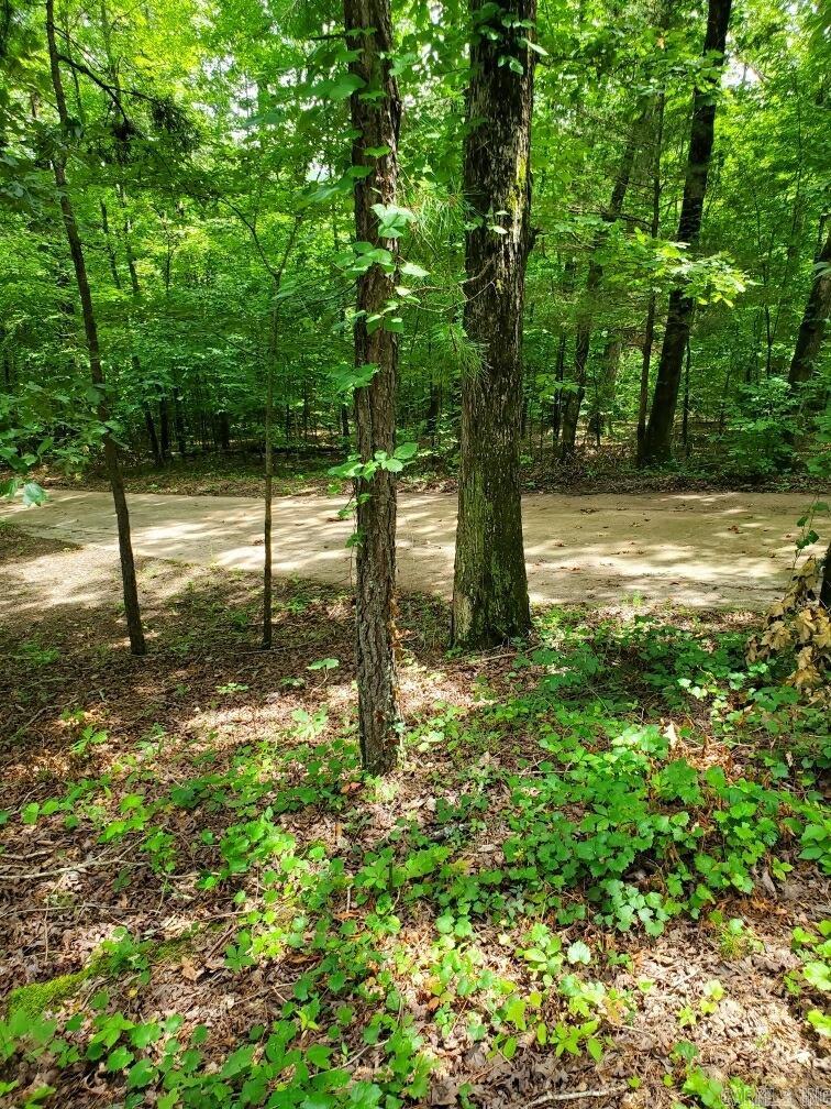 BIG FORK AREA - Residential